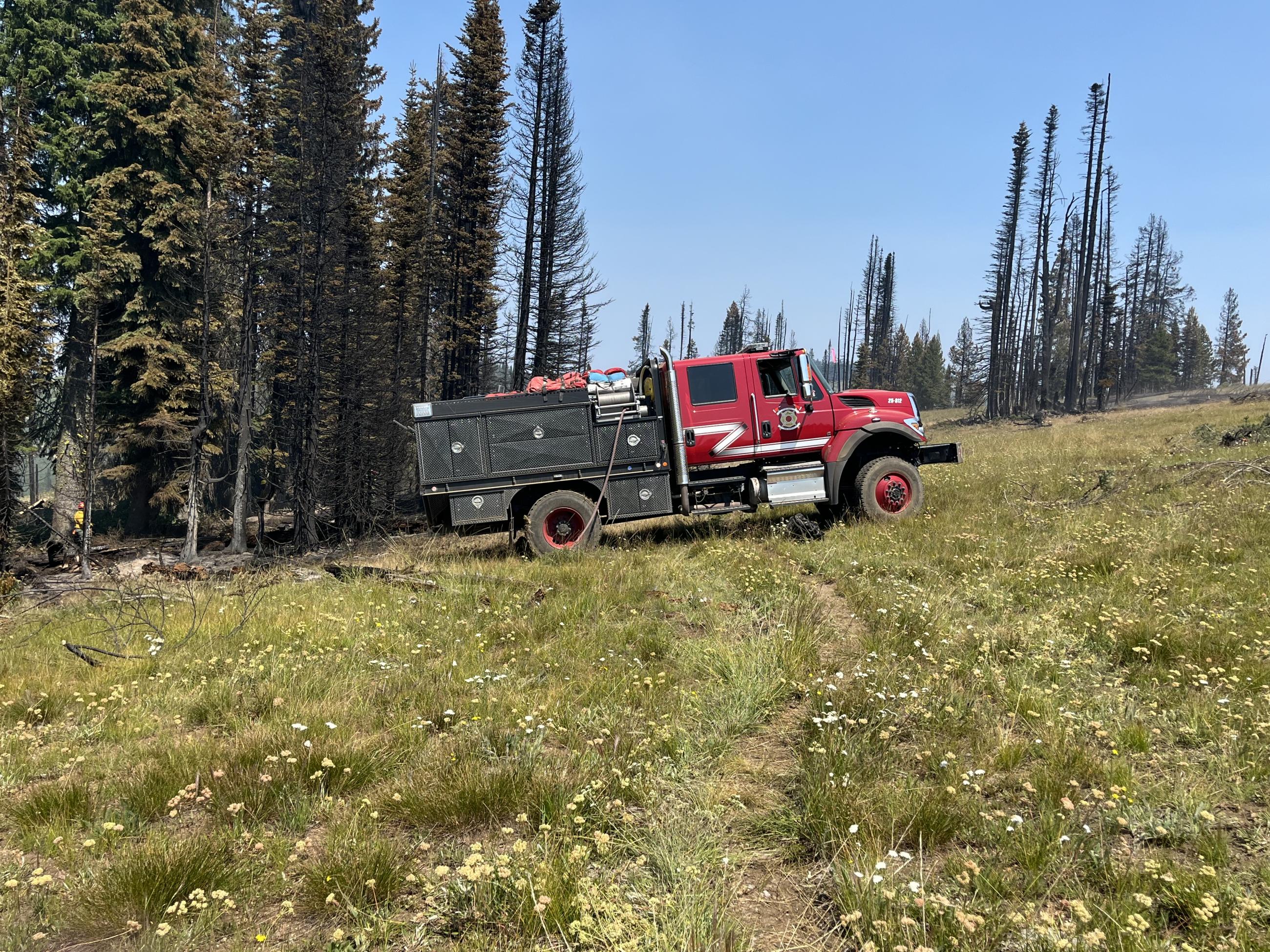 Rock Creek Type 4 Engine in a meadow near trees