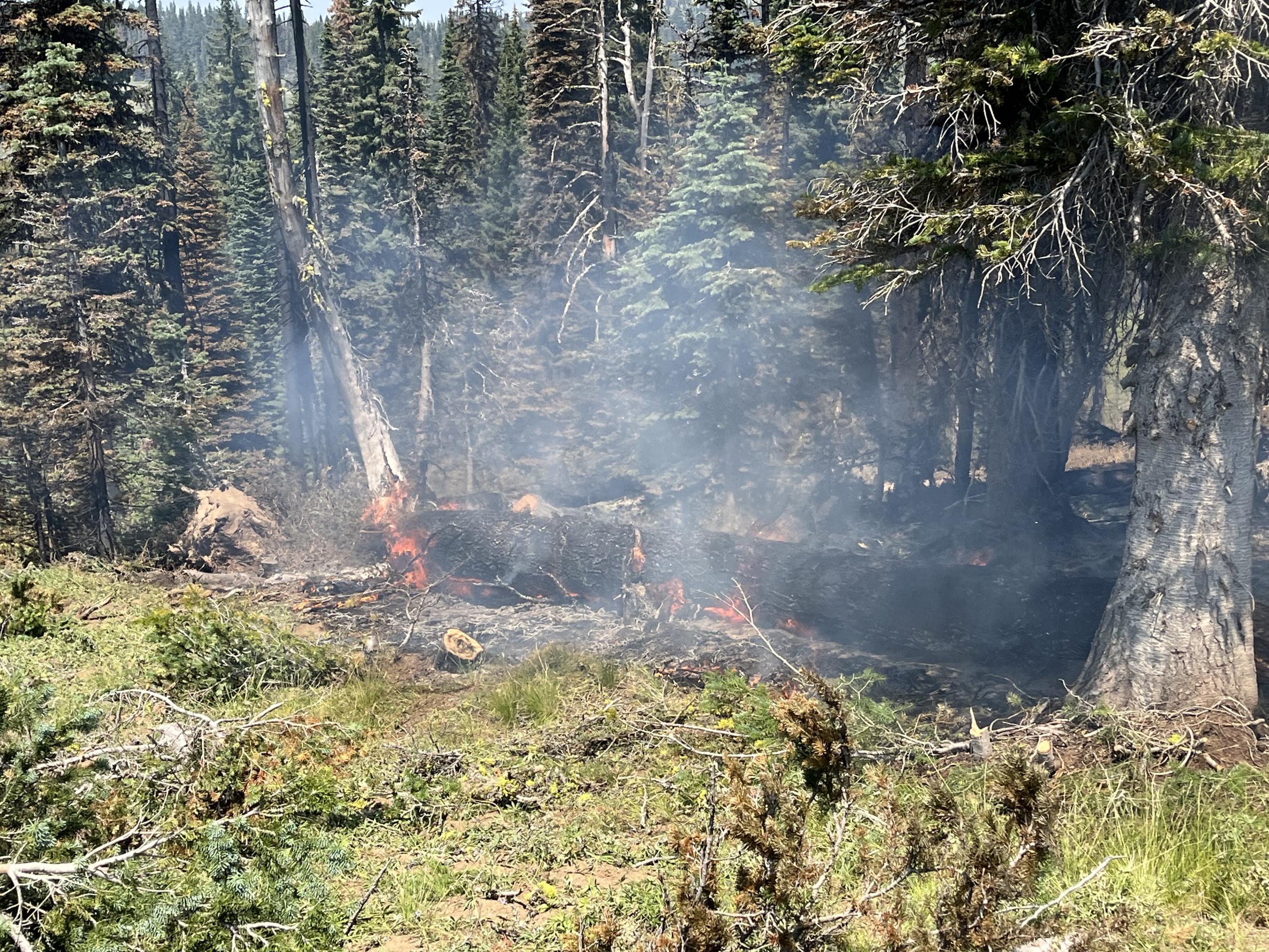 Fire burns in understory