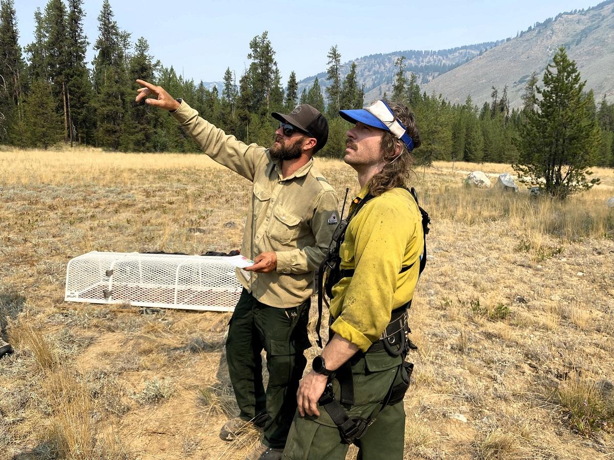 Two men in yellow shirts observe something in the distance