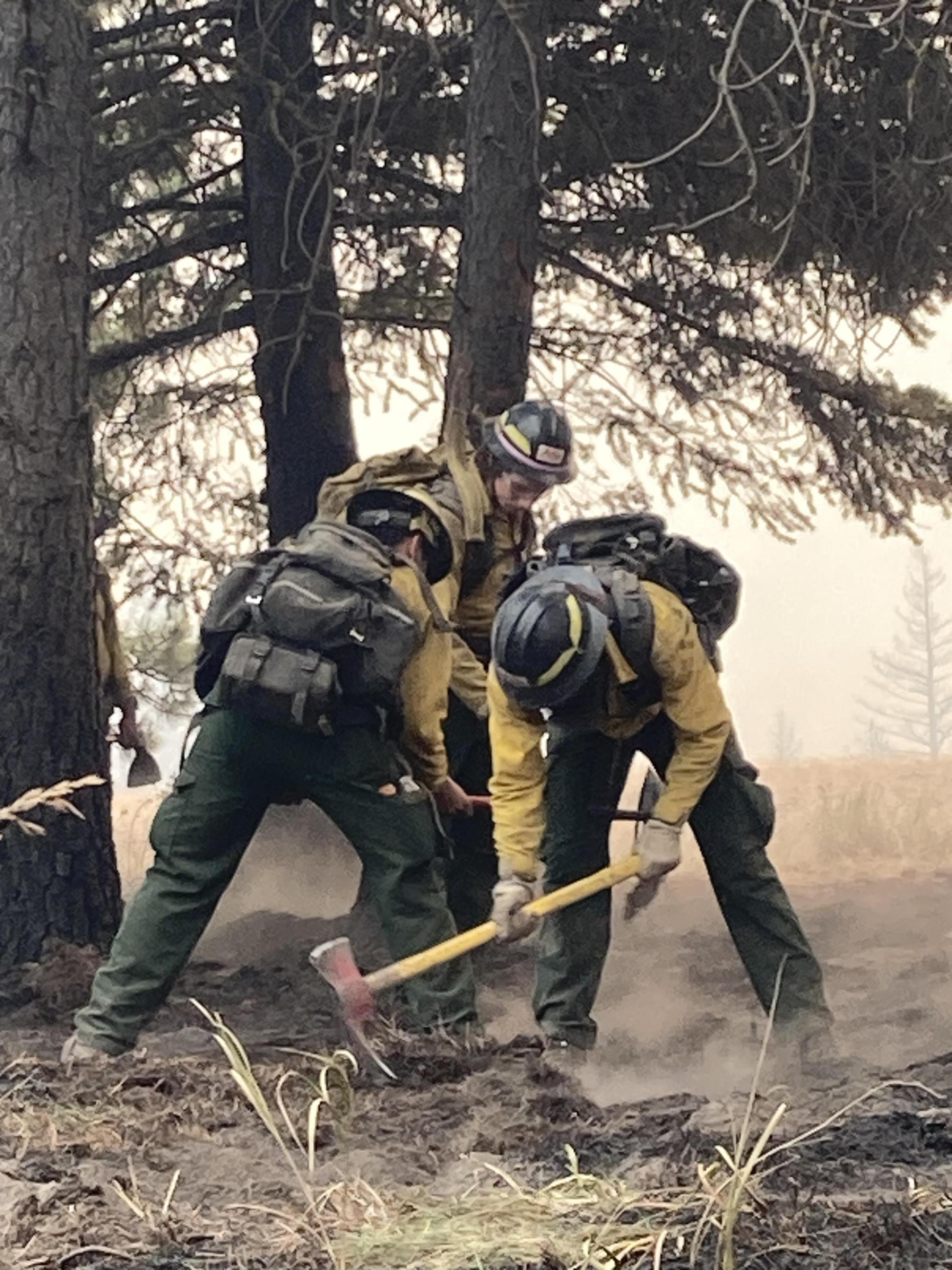 Mop Up on north side of fire along Bethel Ridge