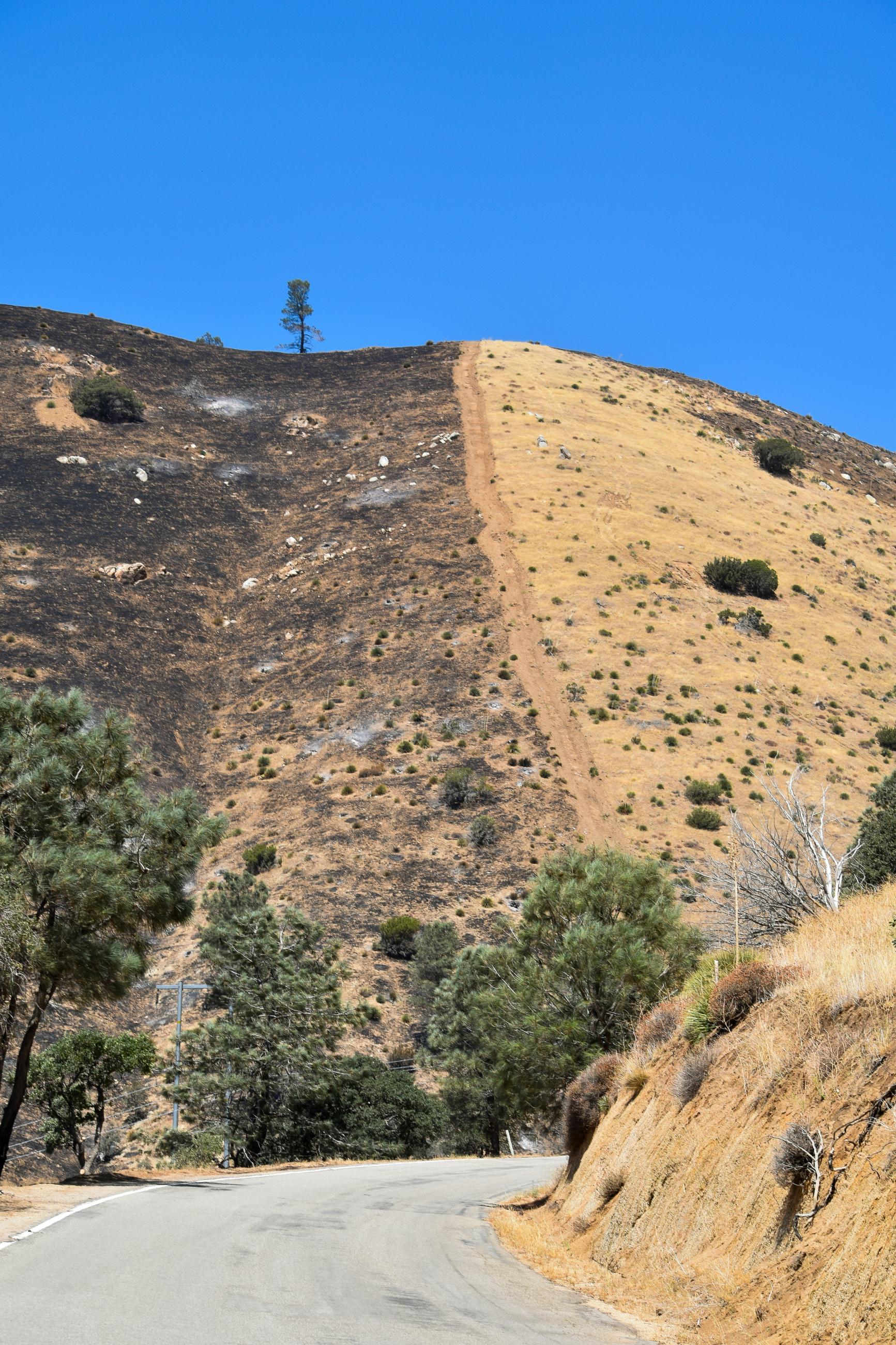 A desert hillside is divided by a bulldozer line of bare soil. The left side is burned and the right side is unburned