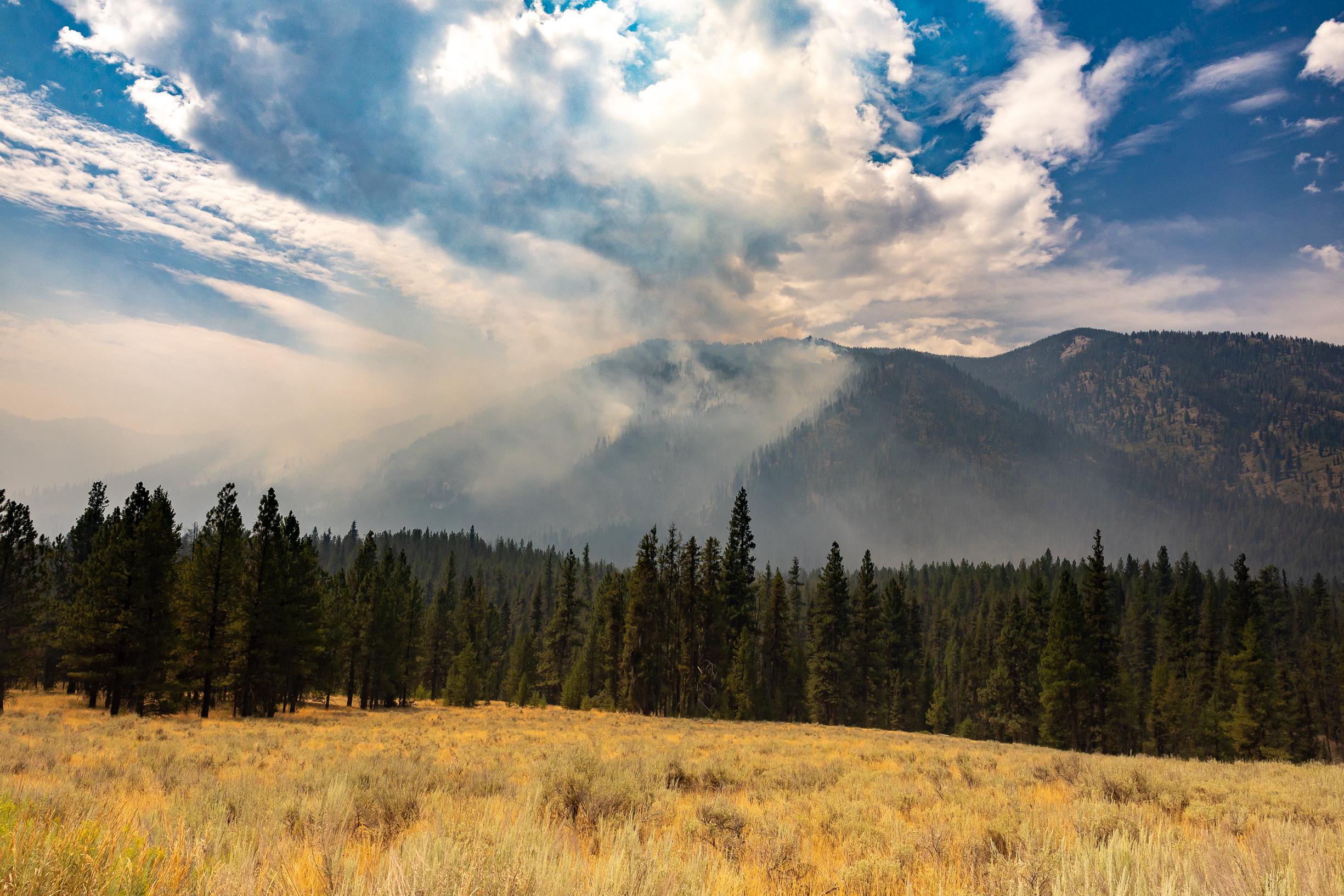 Picture displays smoke rising on a mountain above a meadow on the Wapiti Fire.