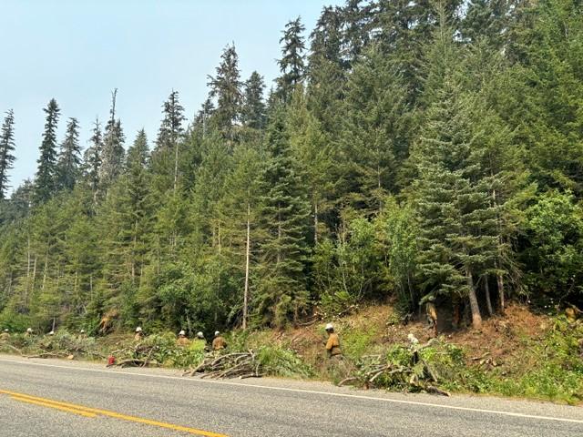 Firefighters in yellow shirts, tan pants, and white hard hats cut limbs off trees along a paved road and pile them on the roadside