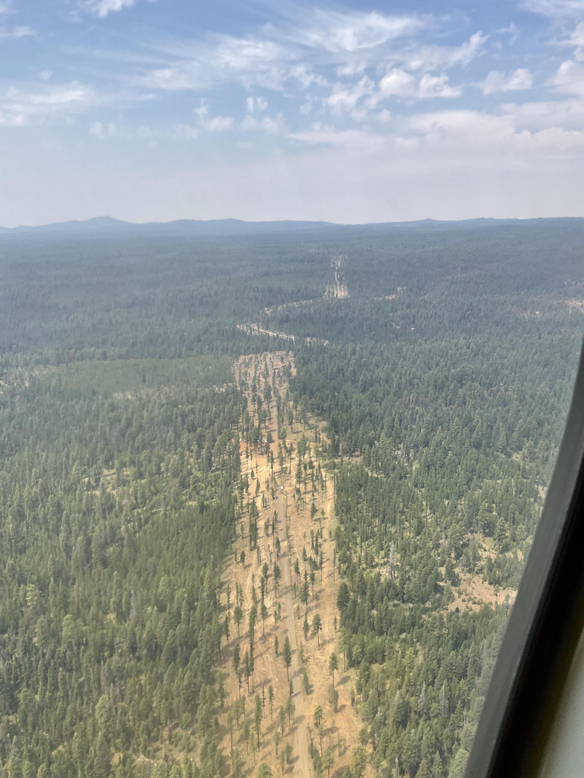 A line of cleared forest
