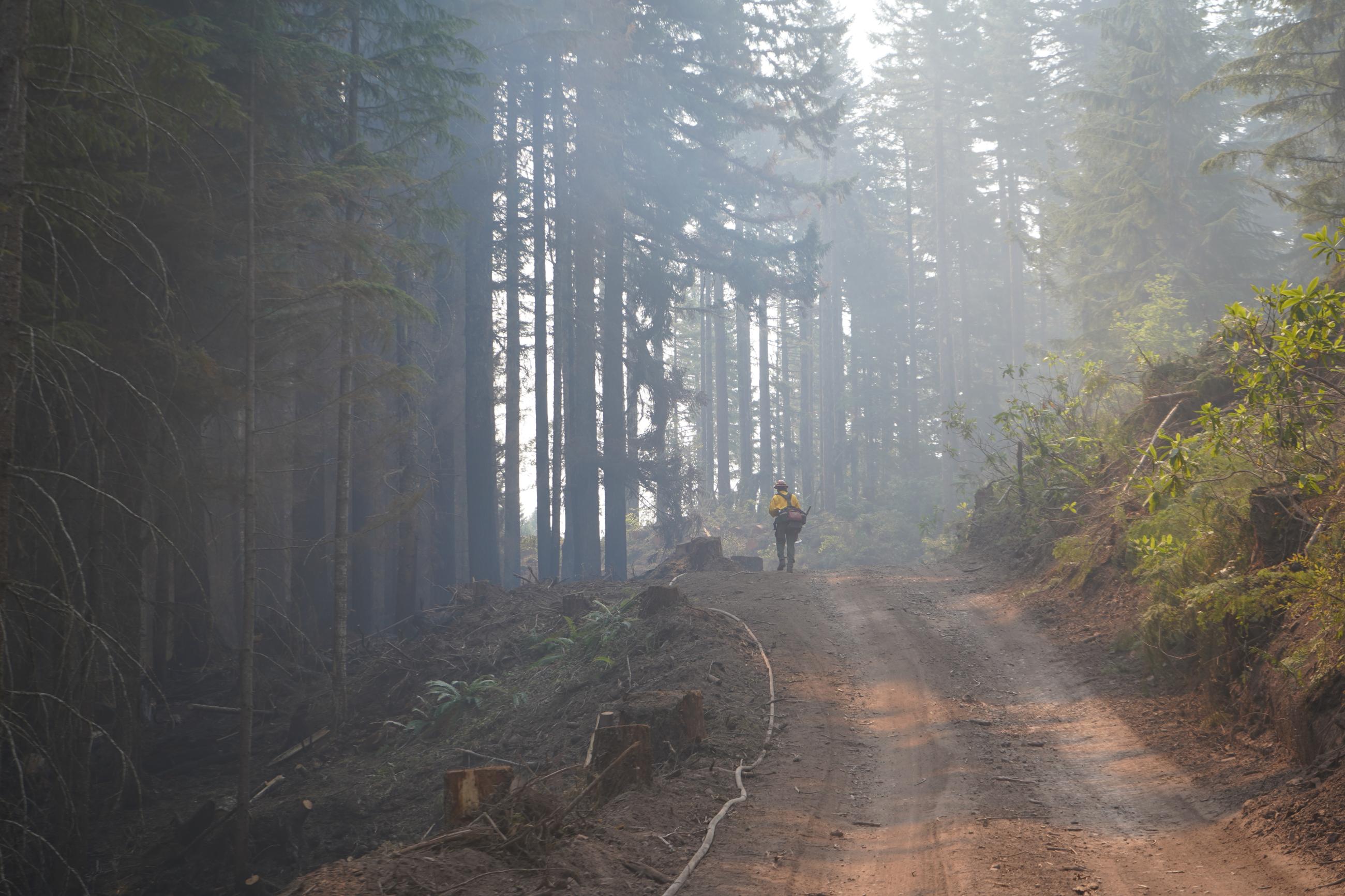 A firefighter on the line of the Cottage Grove-Lane 1 Fire