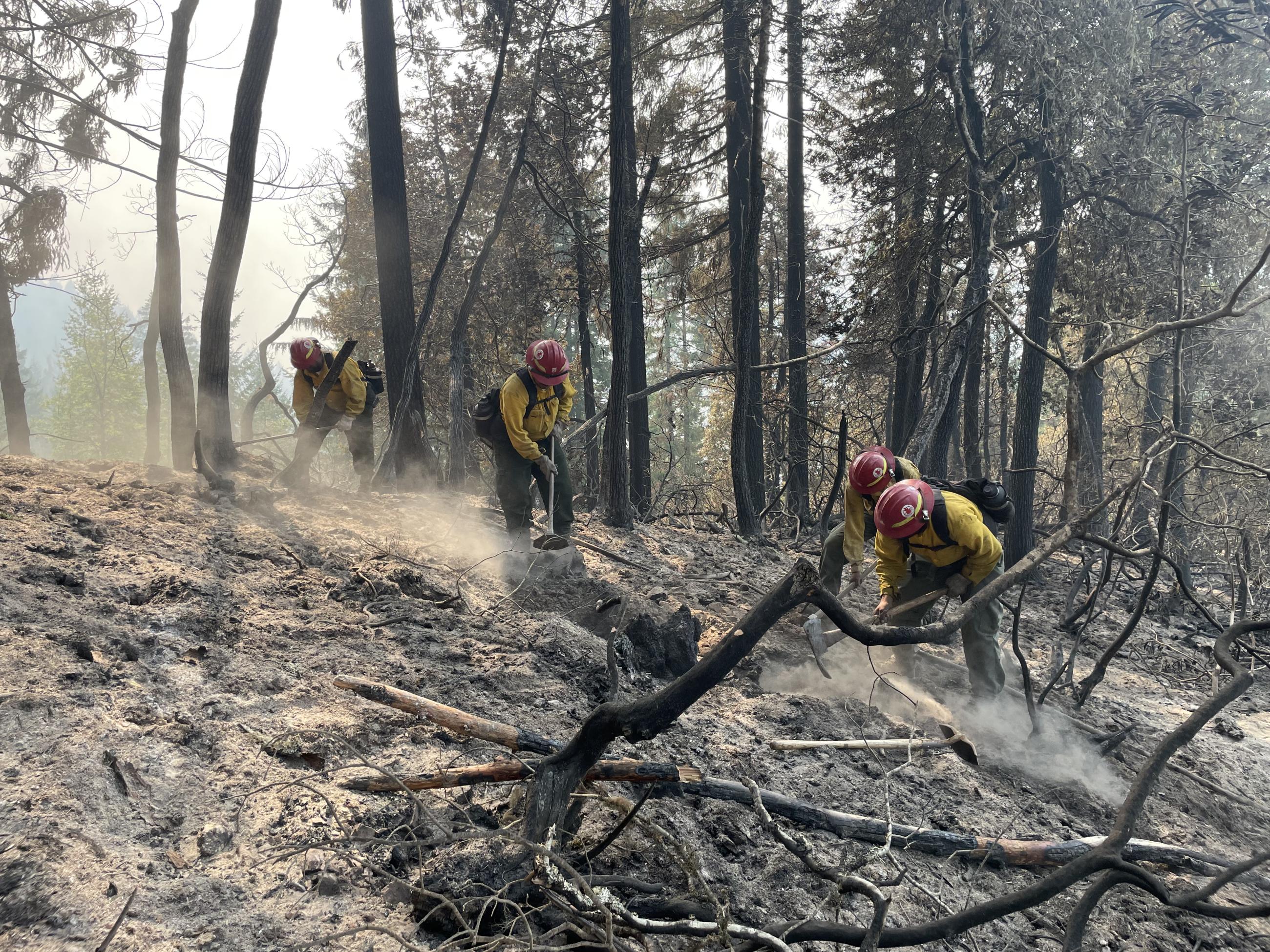 Firefighters mop up the Lane 1 Fire 