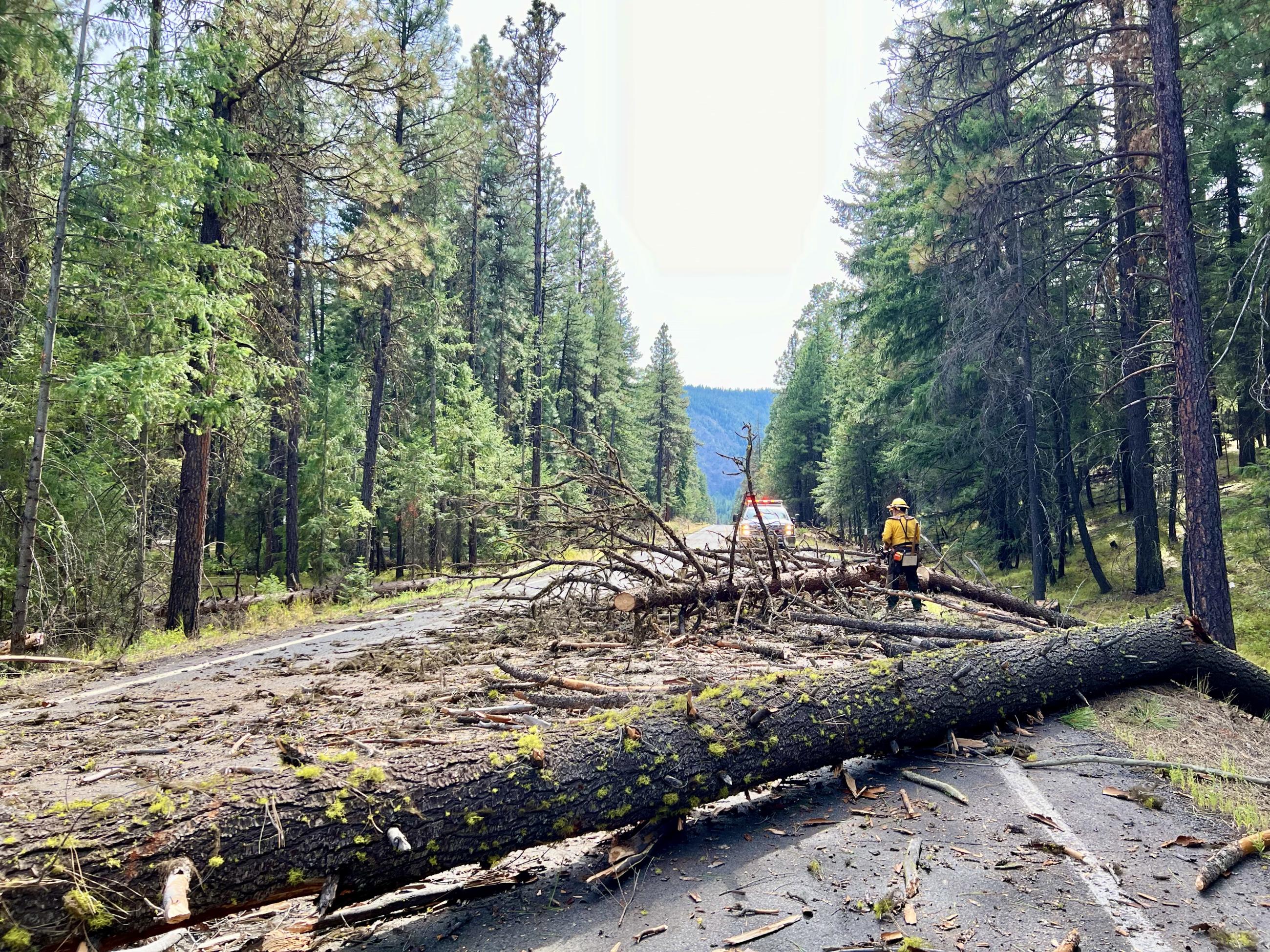 A firefighter uses a chainsaw to cut up a fallen hazard trees