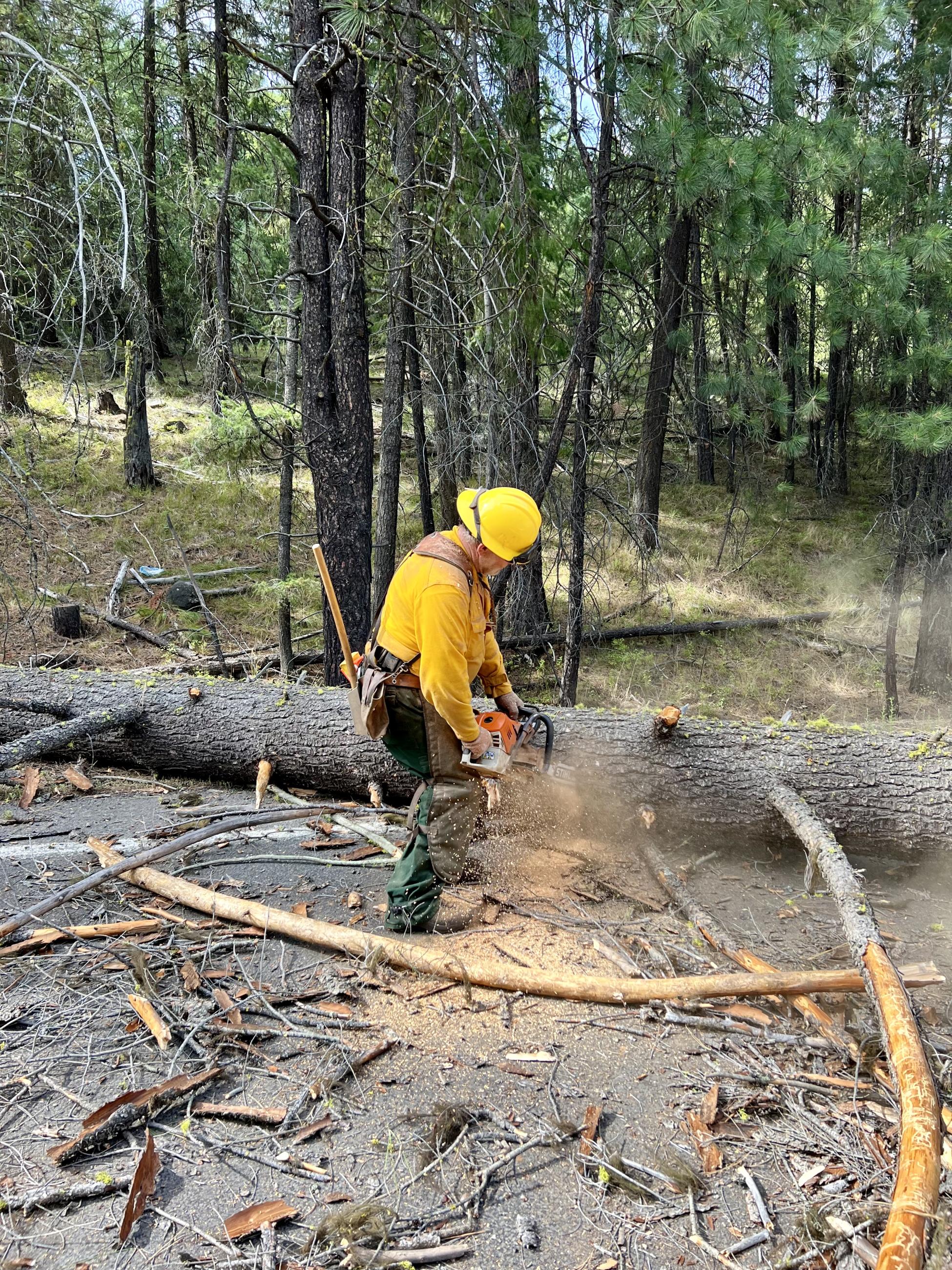 A firefighter uses a chainsaw to cut up a fallen hazard tree
