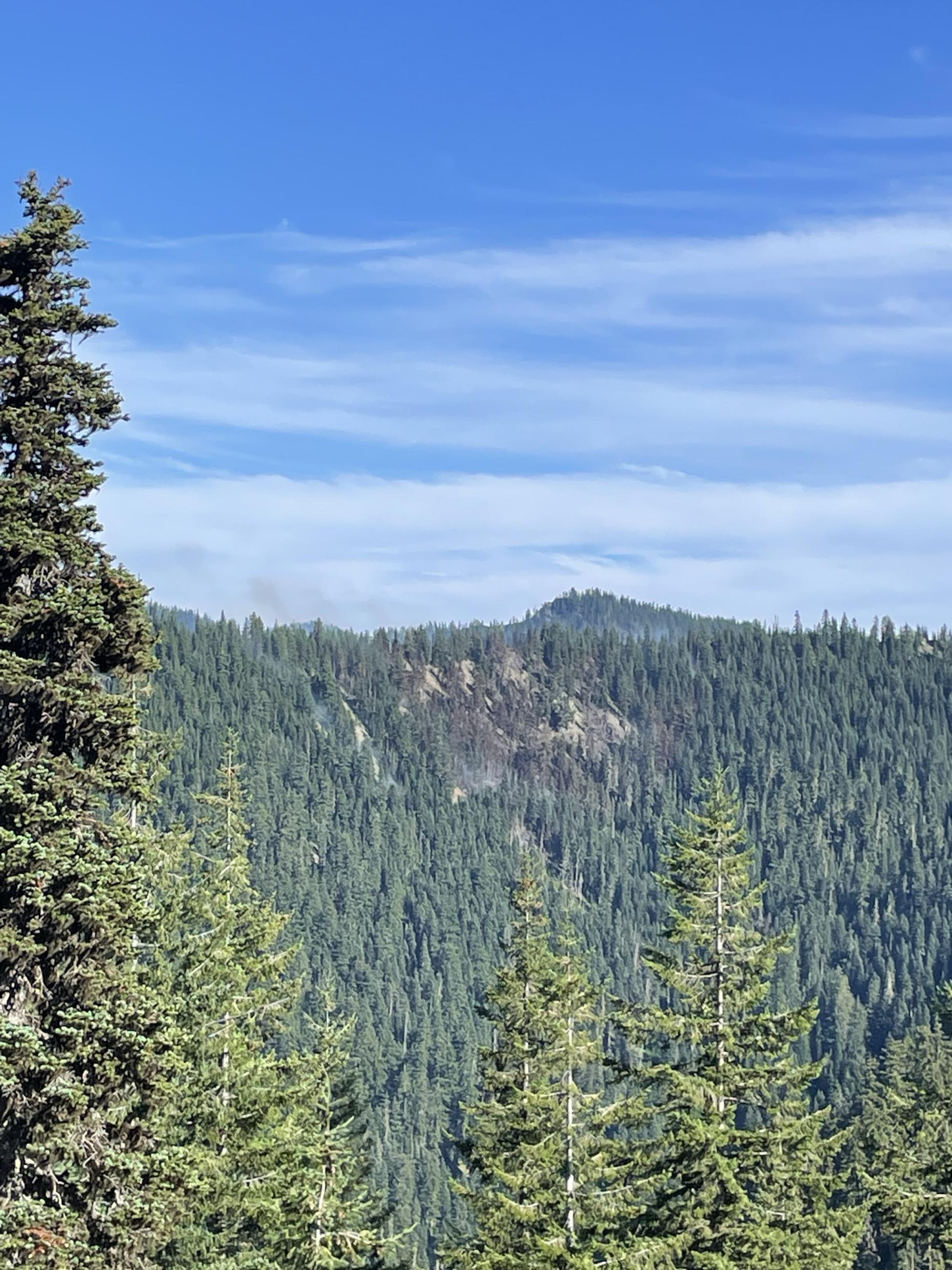 a patch of burned trees and light wispy smoke on a ridge