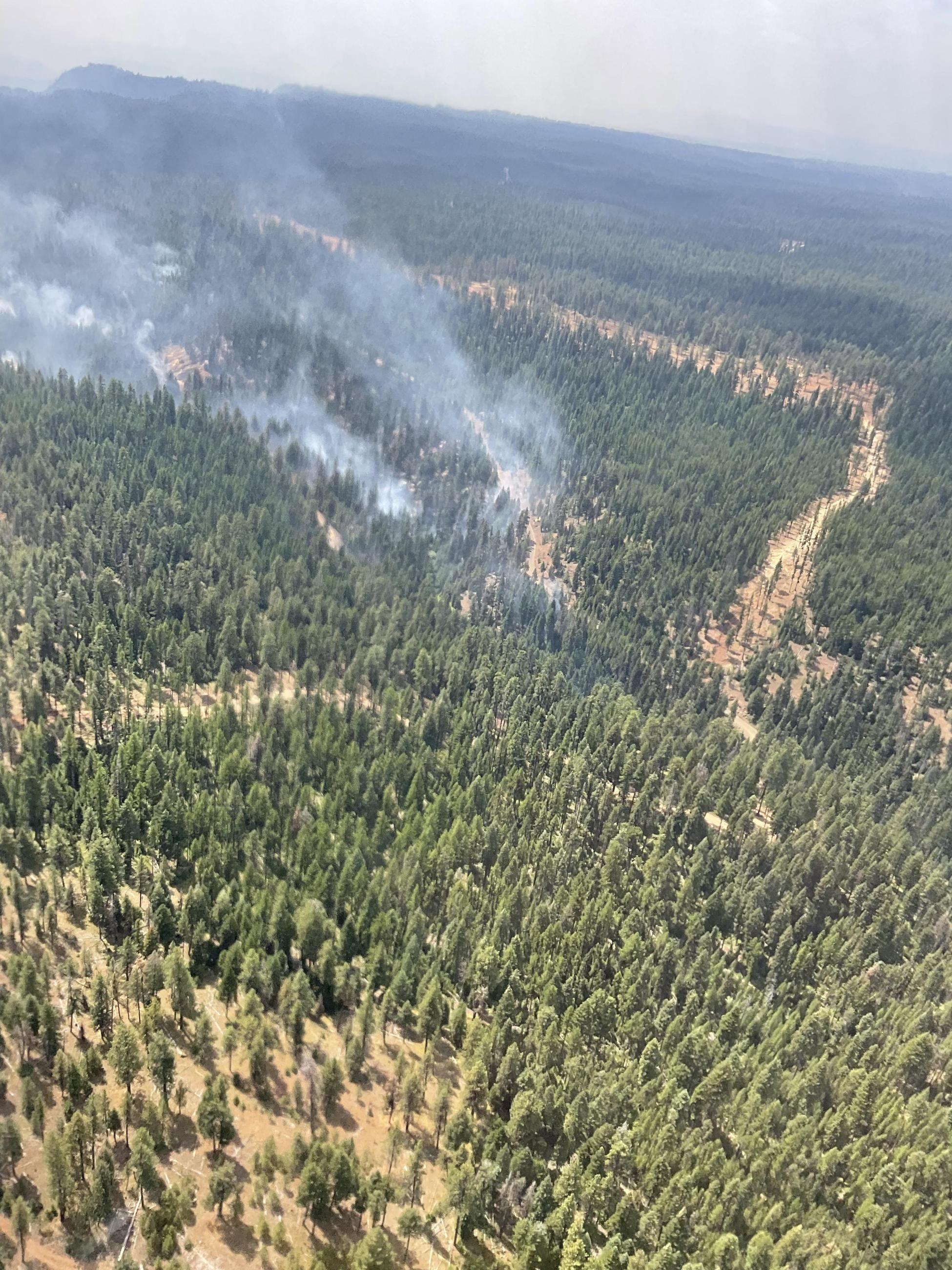 Smoke rising nearing a contingency line on the Battle Mountain Complex