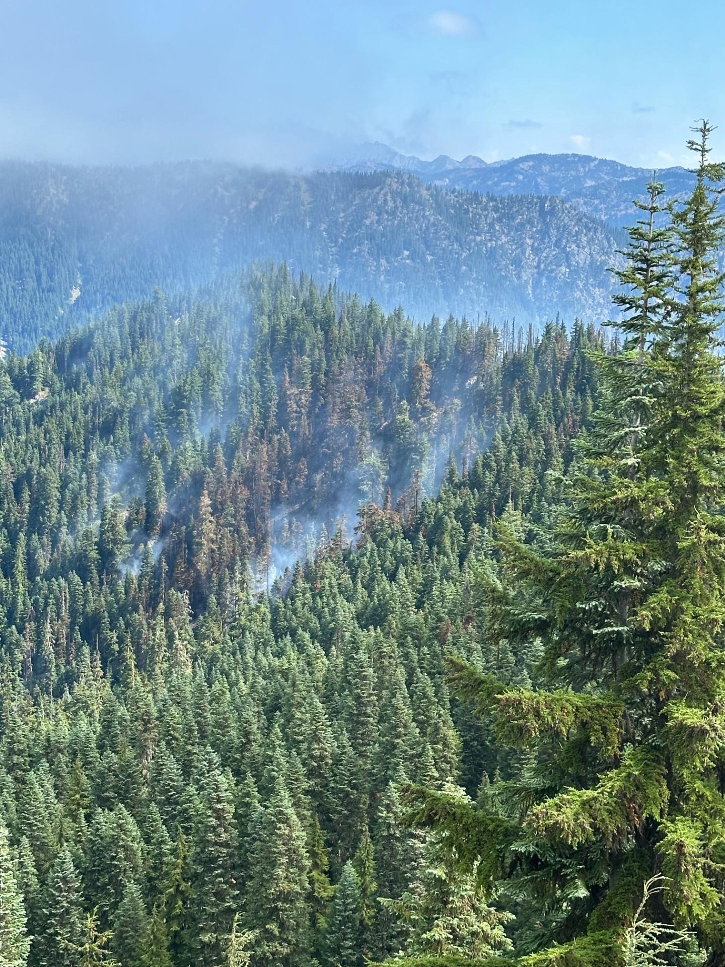 Smoke rises over a patch of burned trees mid-slope