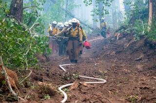 Firing Crew on Dixon Fire