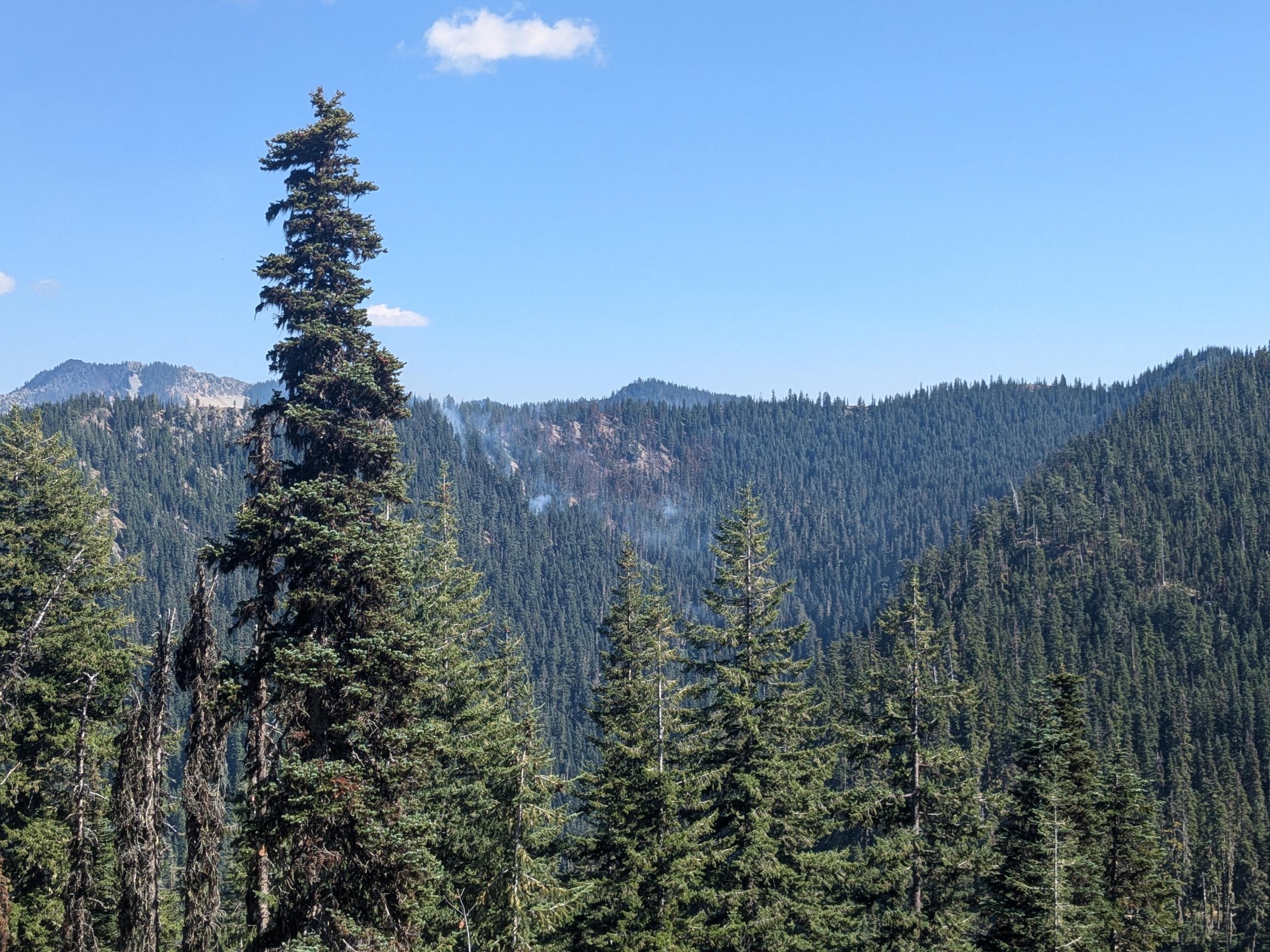 view of wispy smoke drift up from a patch of trees on a hillside in the distance