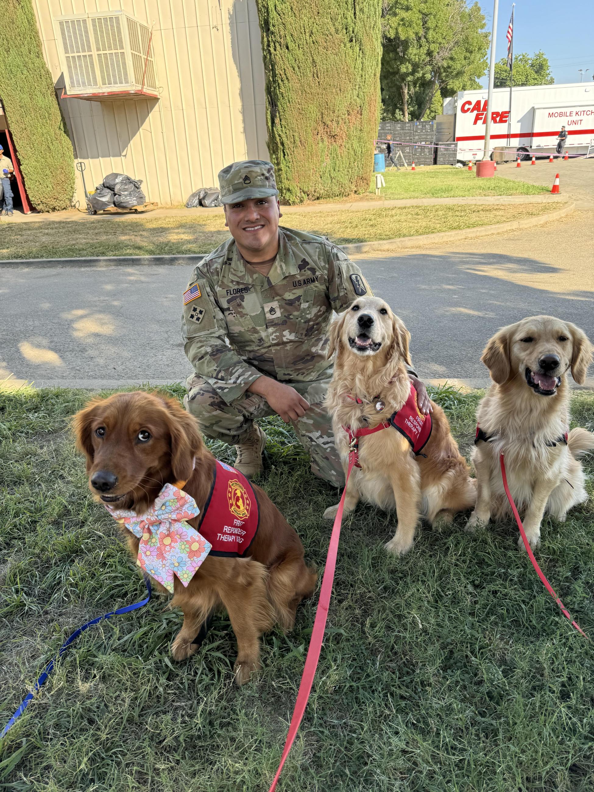 3 dogs with a smiling US military serviceman