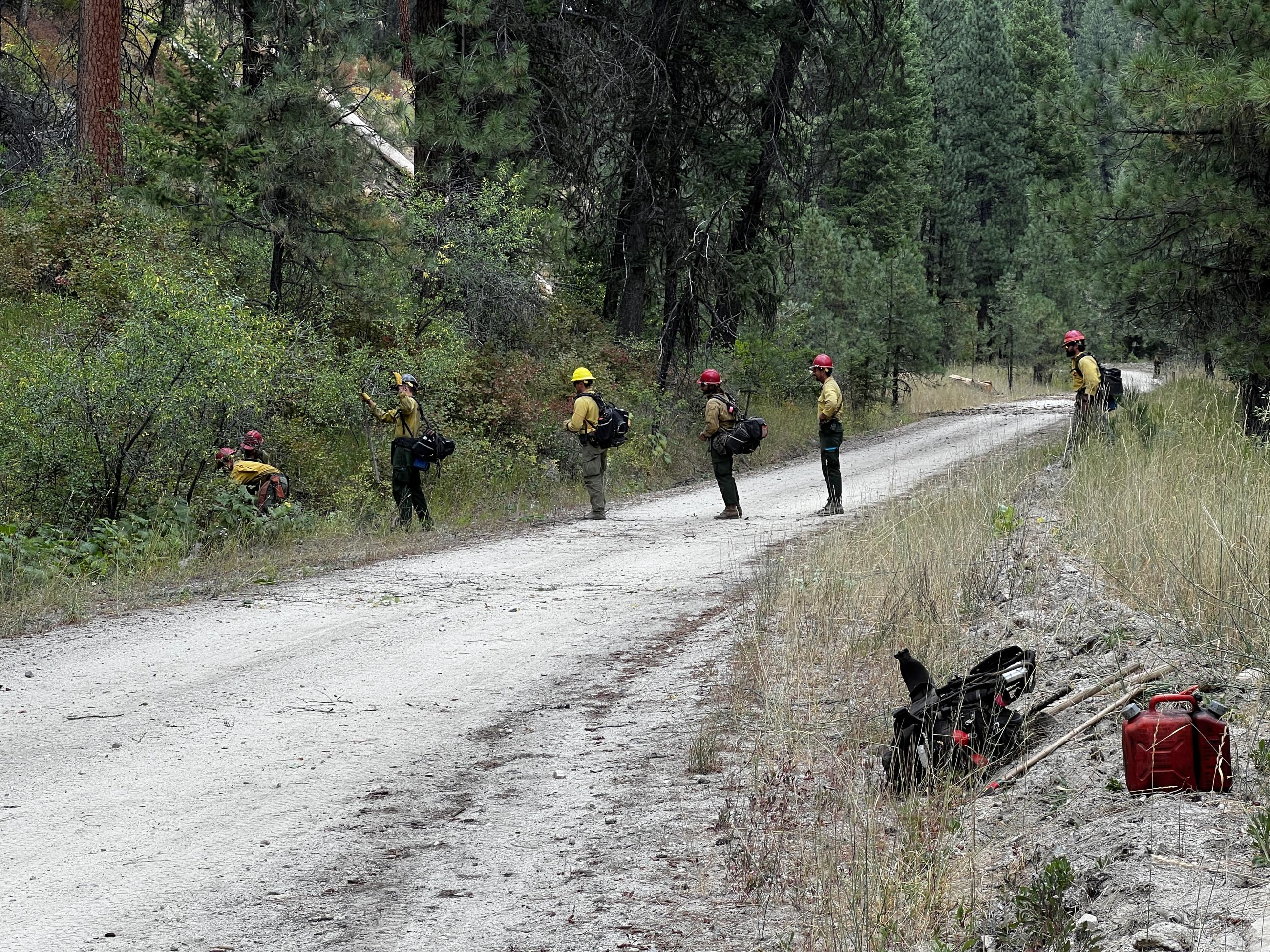 Crews cutting and clearing trees and other highly flammable materials on the Middle Fork Complex Fire. 