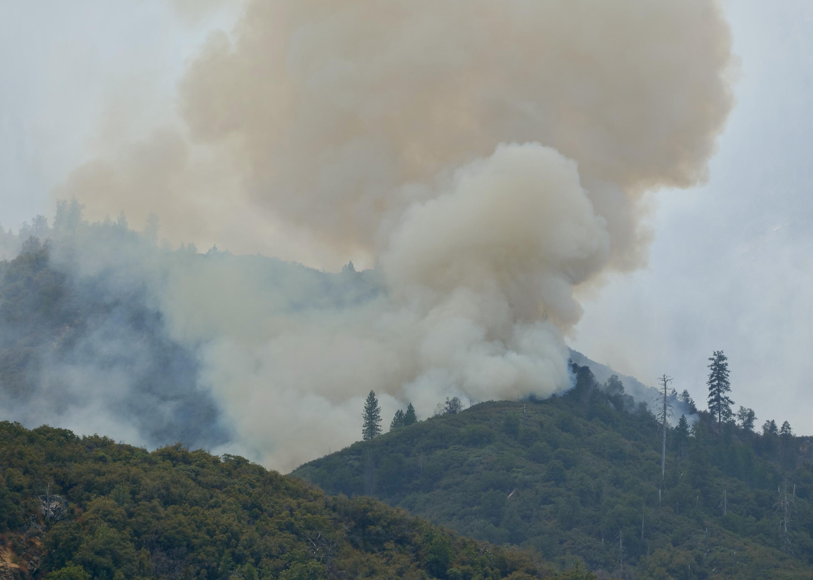 Coffee Pot Fire Activity August 25,2024 view from Lookout Point