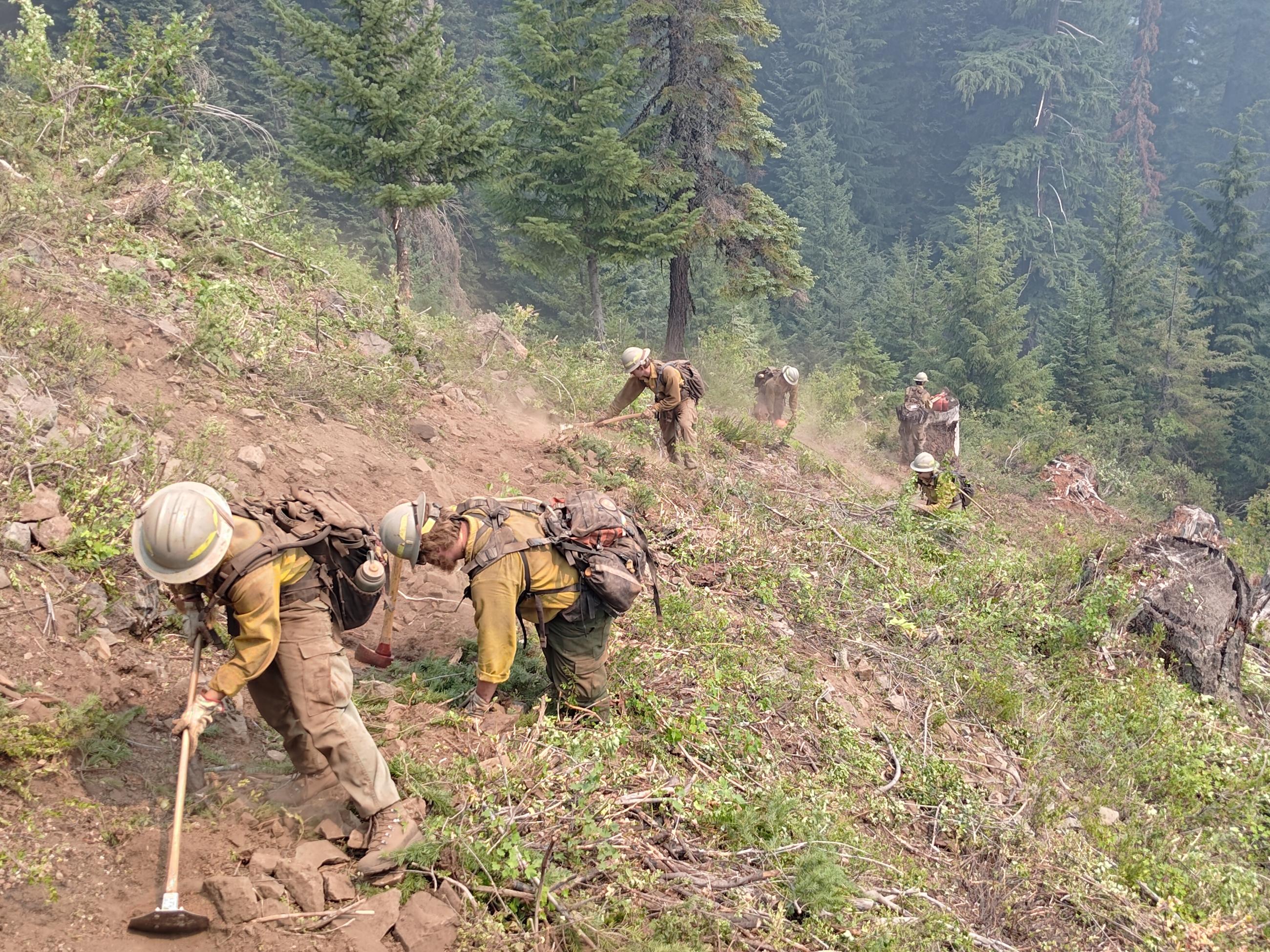 Several firefighters on steep slope digging line