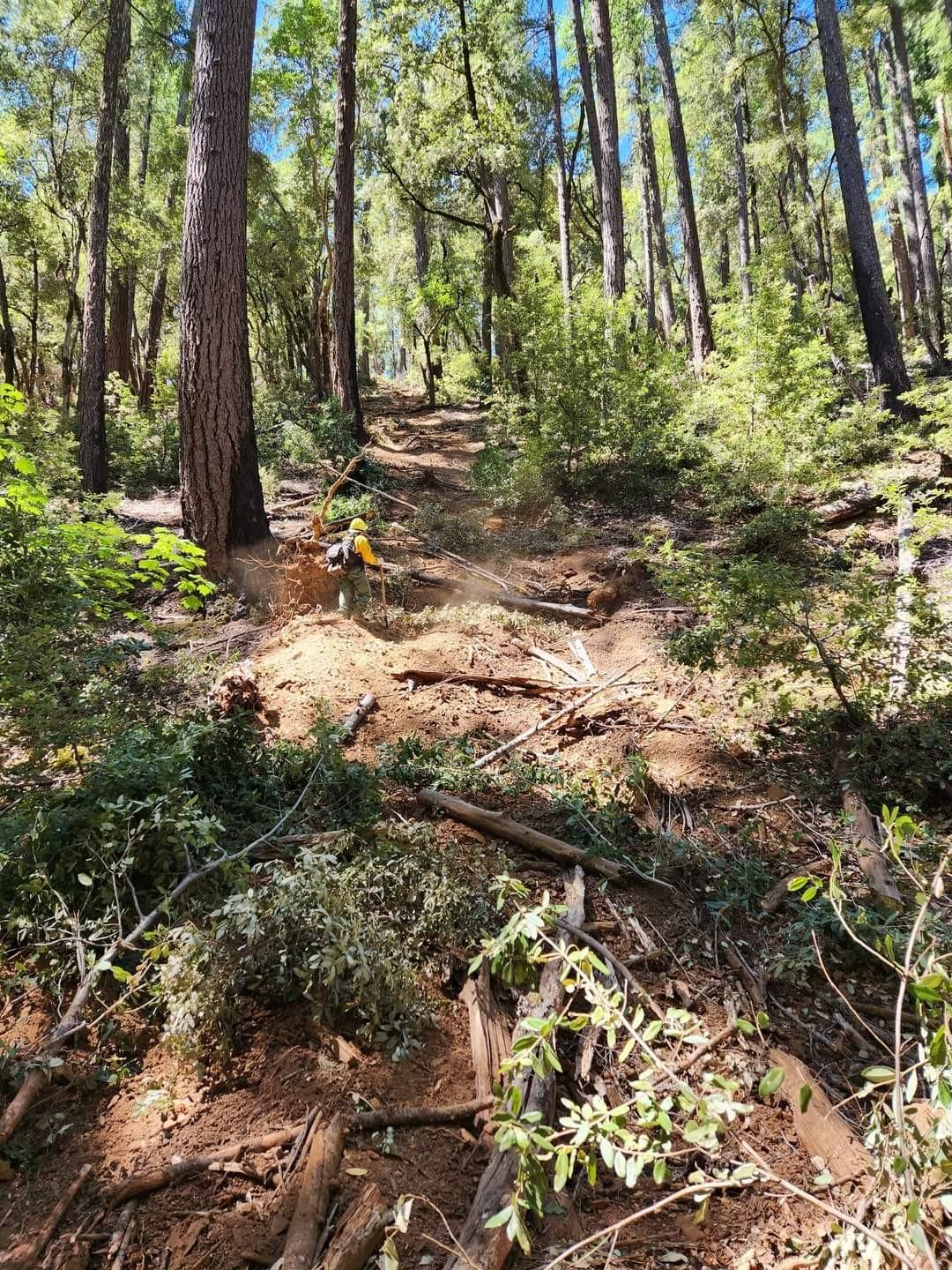 Suppression repair on a steep dozer line