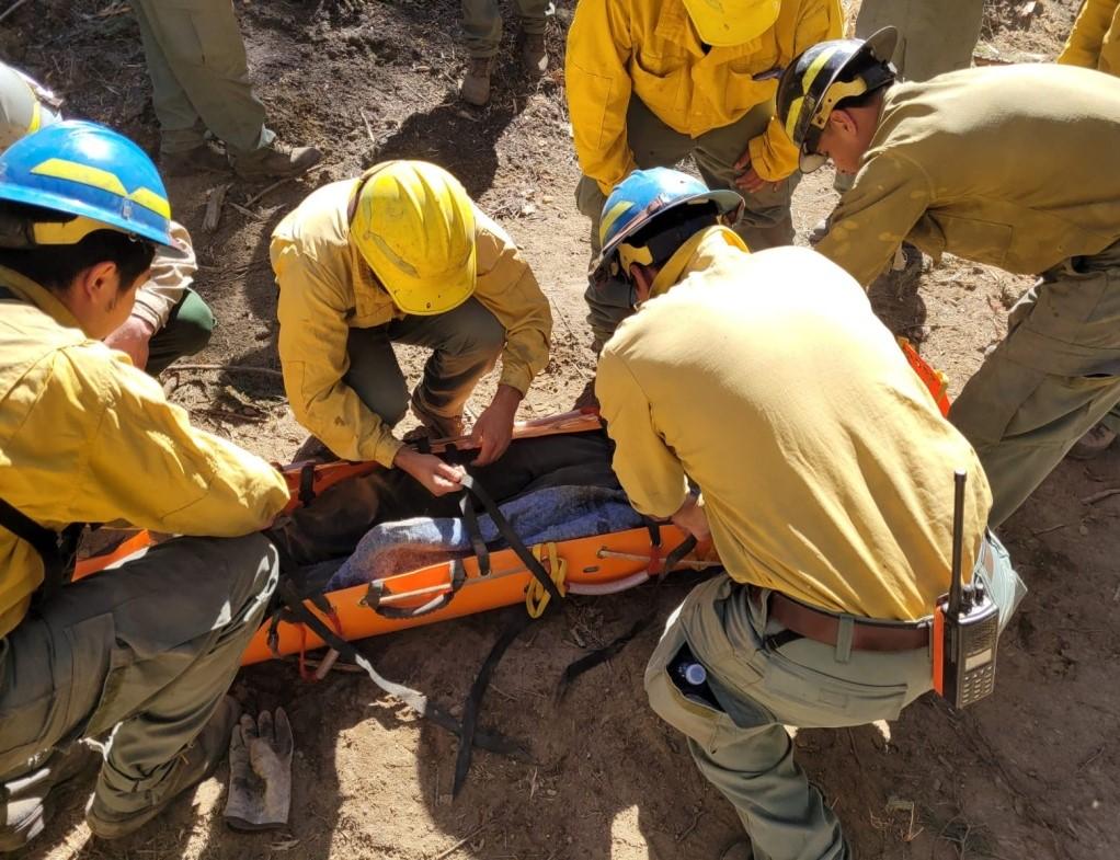 Firefighters secure a simulated injured patient to a sked stretcher to remove from line to definitive care