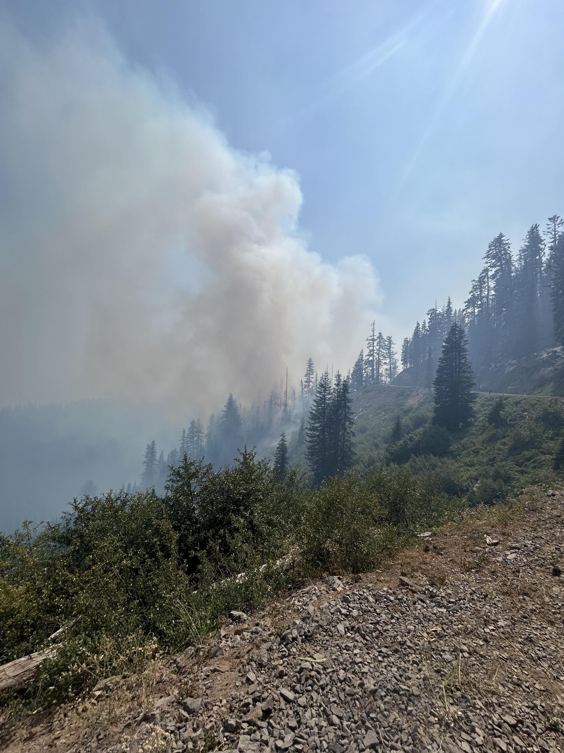 Small smoke plume in trees on slope