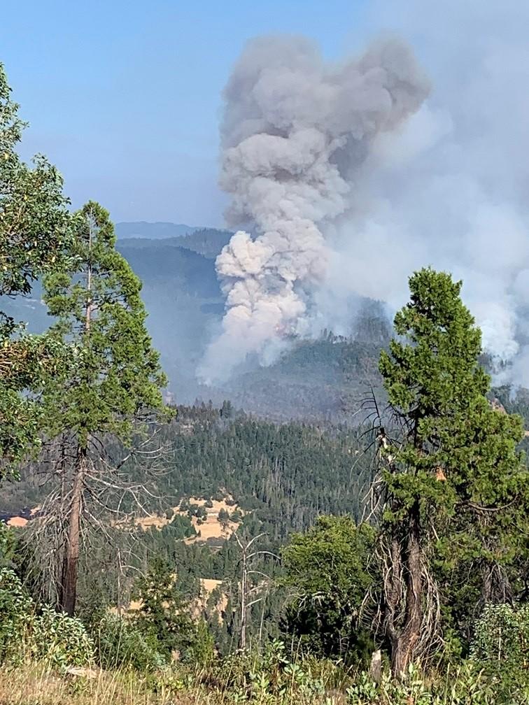 View of smoke on Dixon Fire 8-11-24