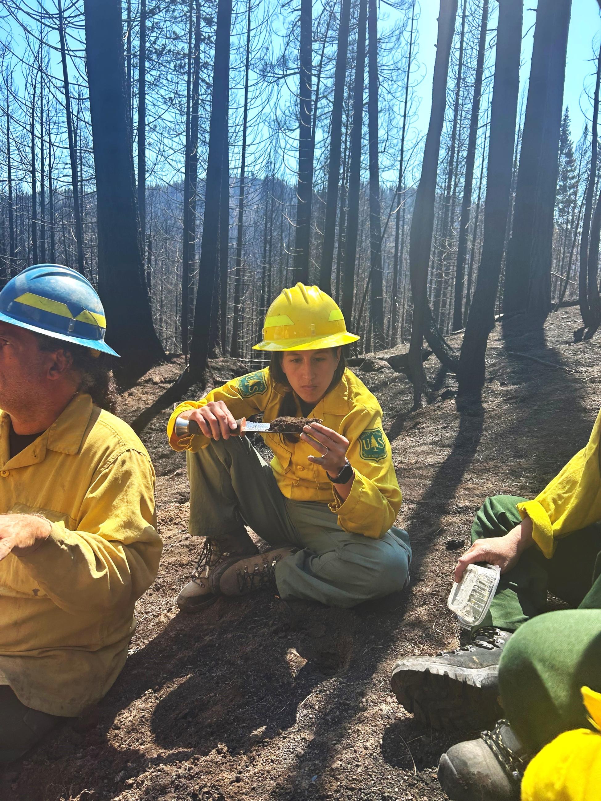 Image showing BAER Soil Scientist Anna Plumb Examining Soil Root Structure within Park Burn Area