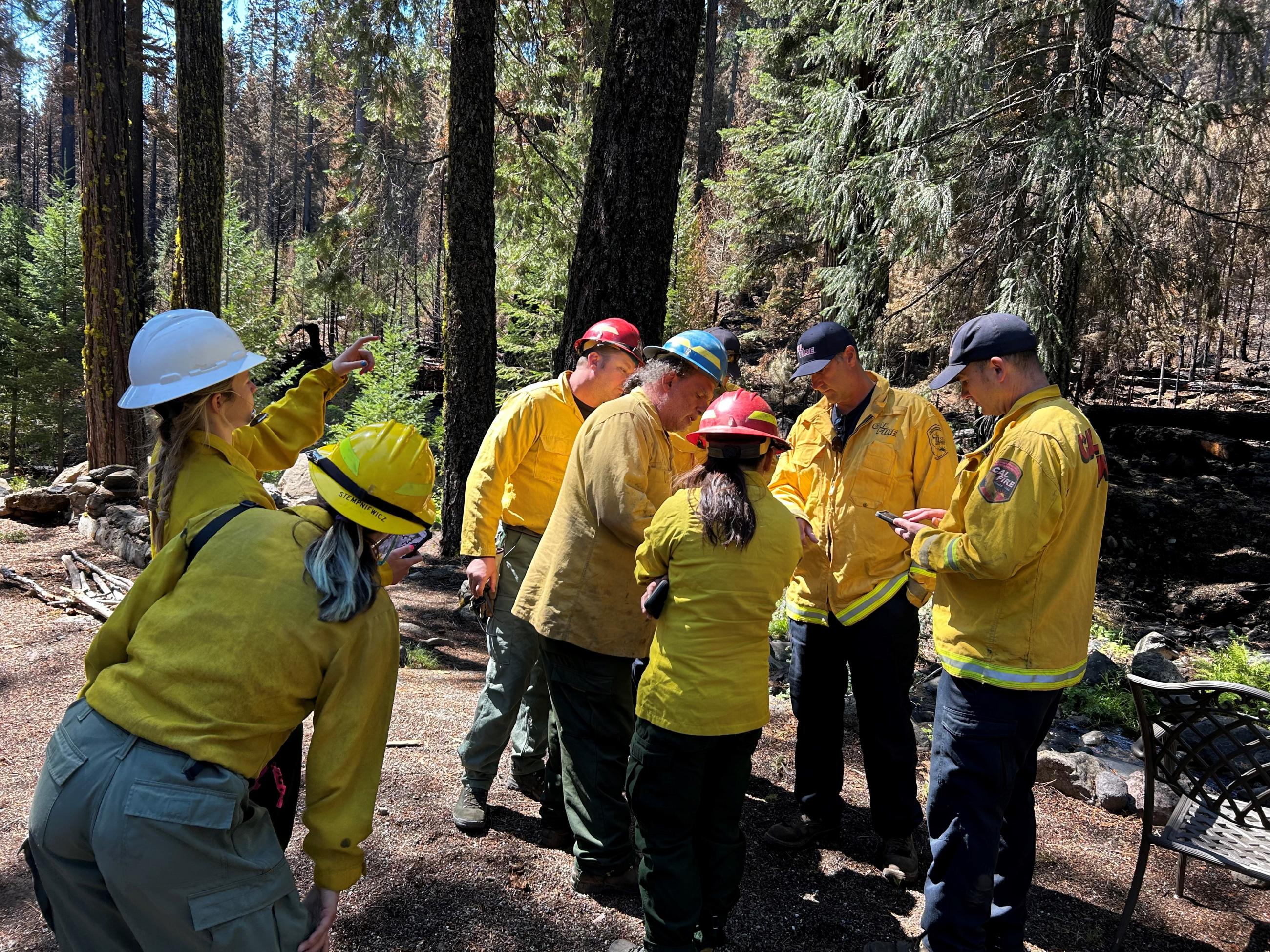 Image showing  Image Showing BAER Specialists and California WERT Specialists Assess Soil Burn Severity within the Park Fire BAER Specialists and CA WERT Specialists Assess Soil Burn Severity within the Park Fire