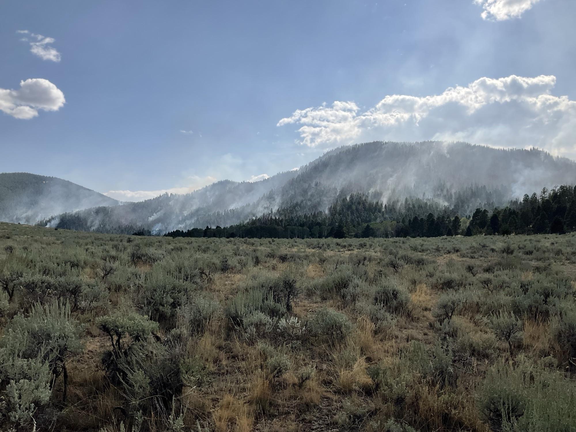 Moderated fire behavior on the ration mountain fire, showing less and less smoke wafting from a forested landscape full of green conifer trees.