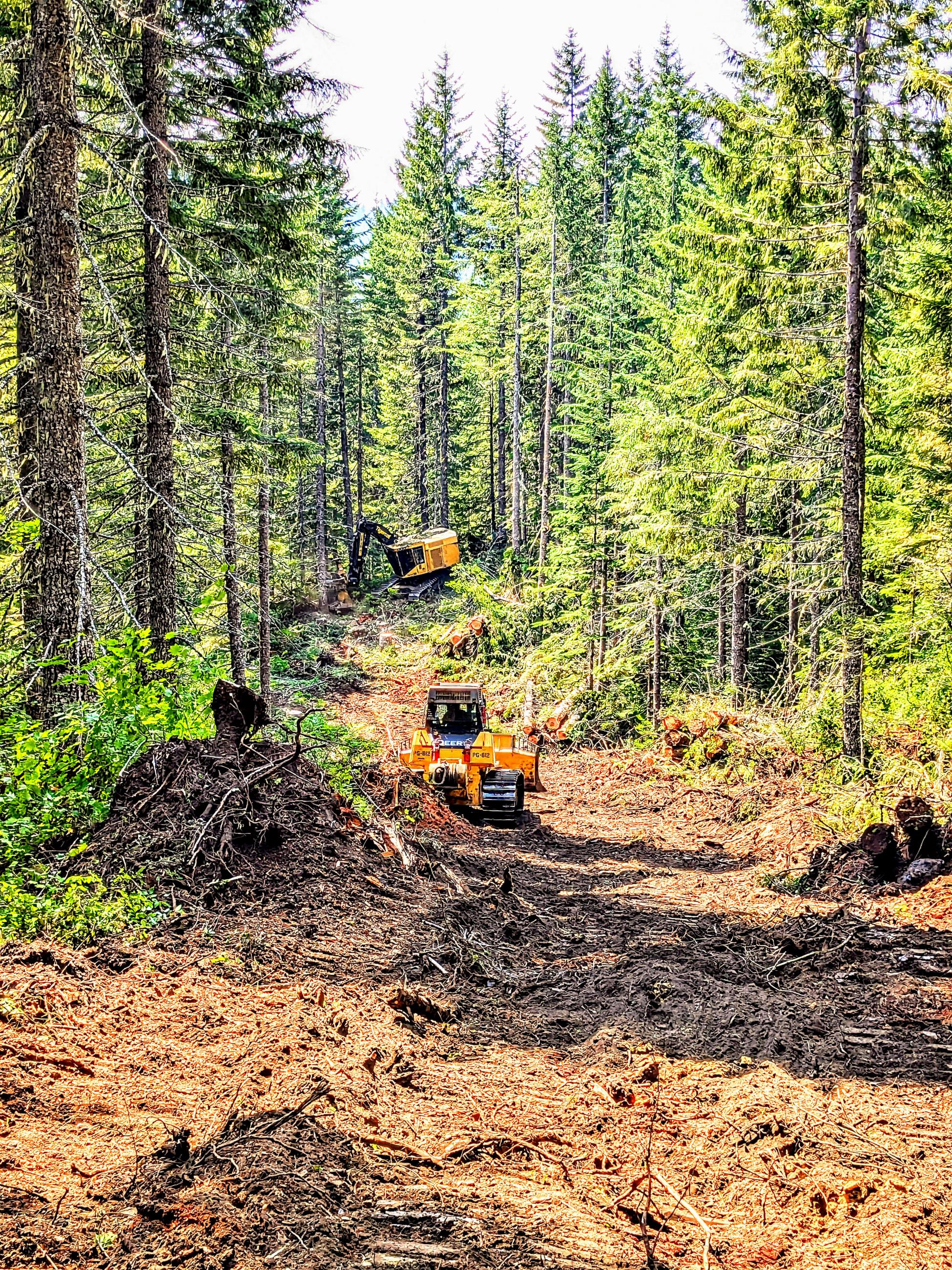 heavy equipment working in a backdrop of trees and soil