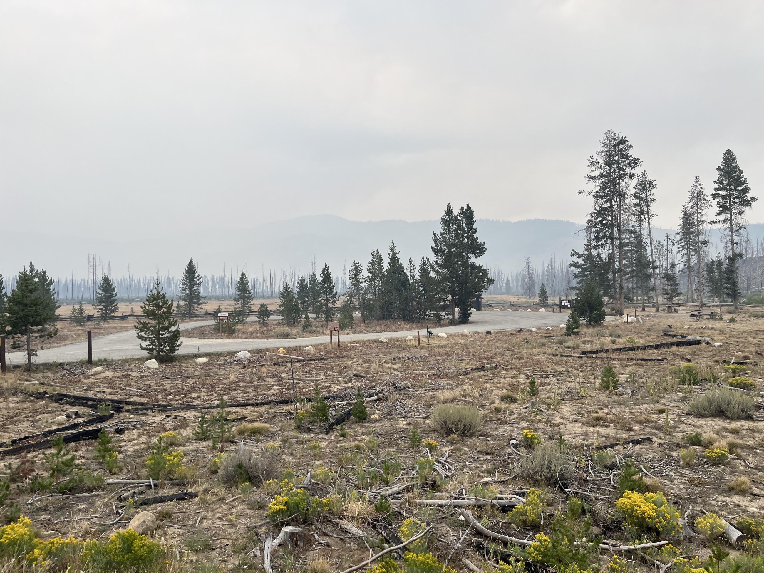 smoky sky in background with unburned field at elk creek campground on august 24