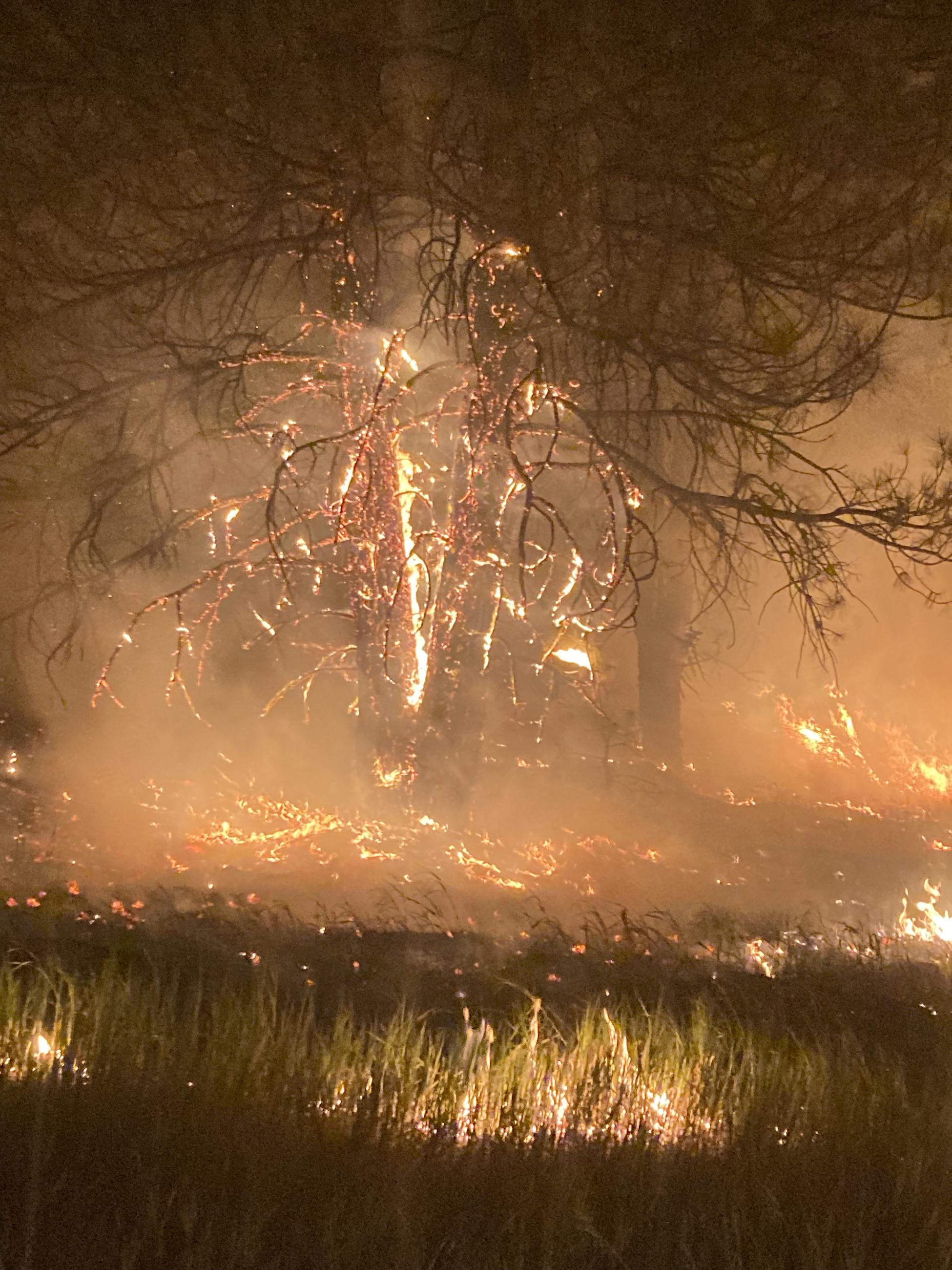 Night burning on the Telephone Fire near Perry Meadow