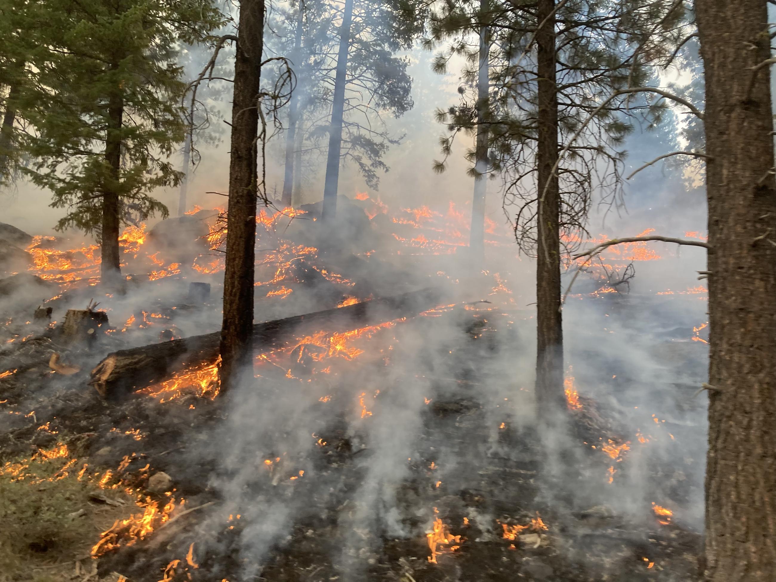 Firing Operation on the Telephone Fire near Perry Meadow