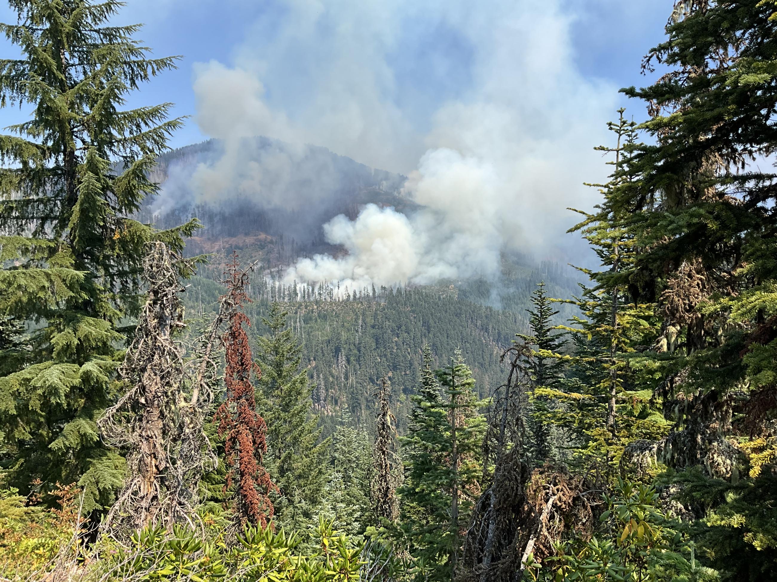 A view of smoke from the Sandstone Fire on August 10, 2024.