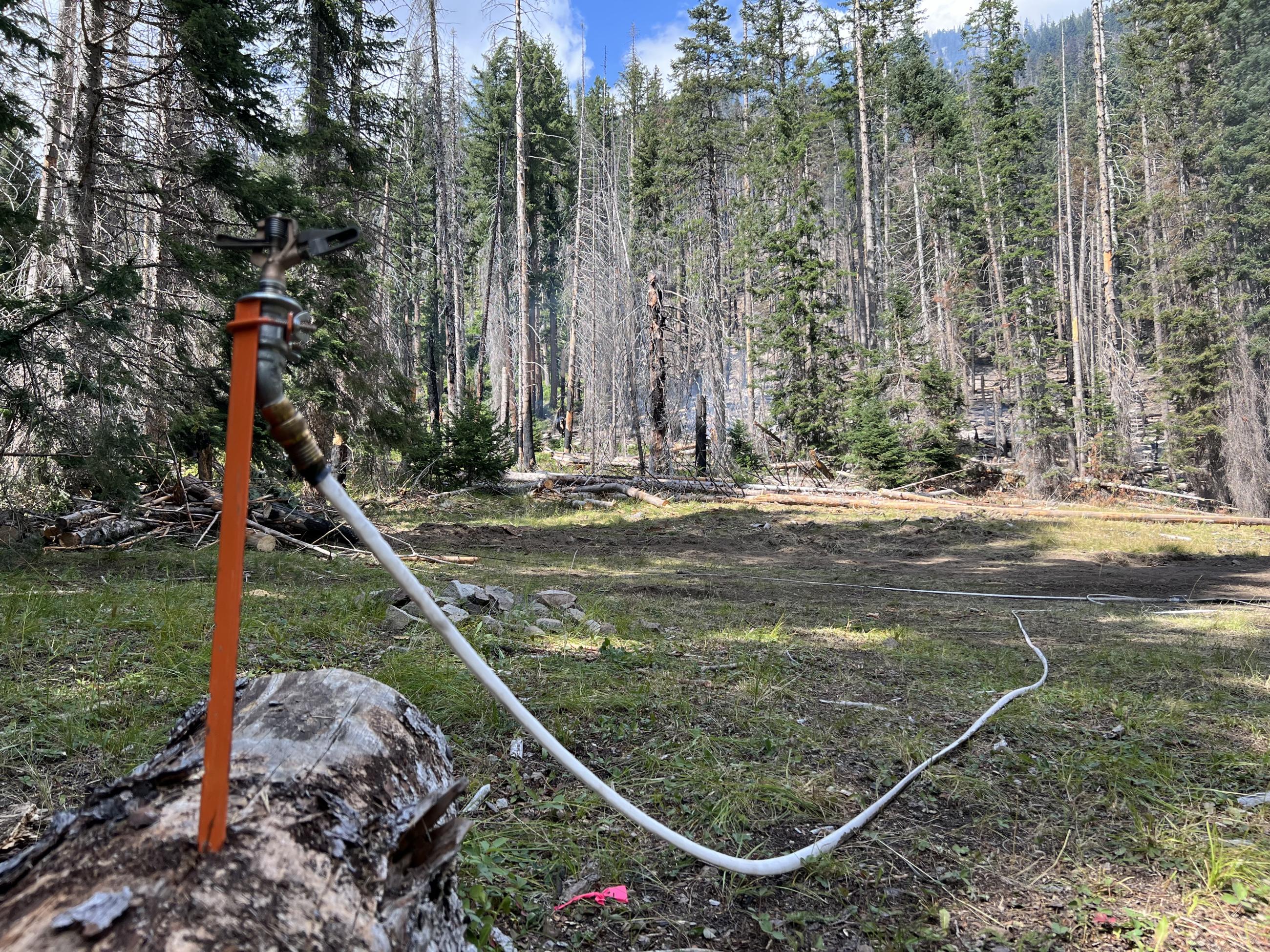 Sprinkler system set up along the control line 