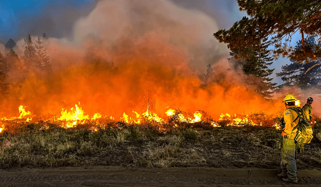 Firing operations 