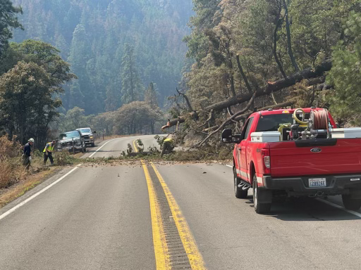 Truck on Highway with Tree down 
