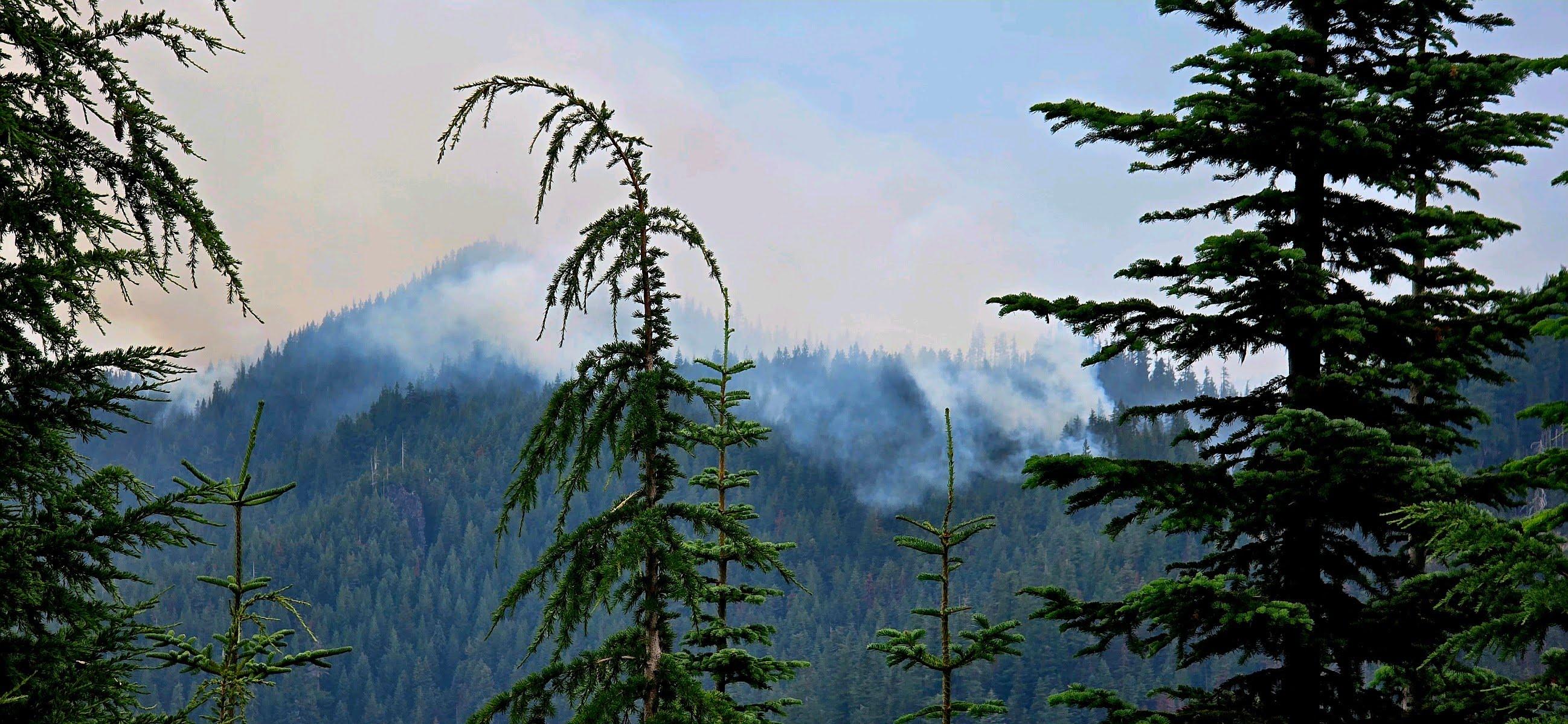 light smoke rises from the moss mountain fire, Aug 3