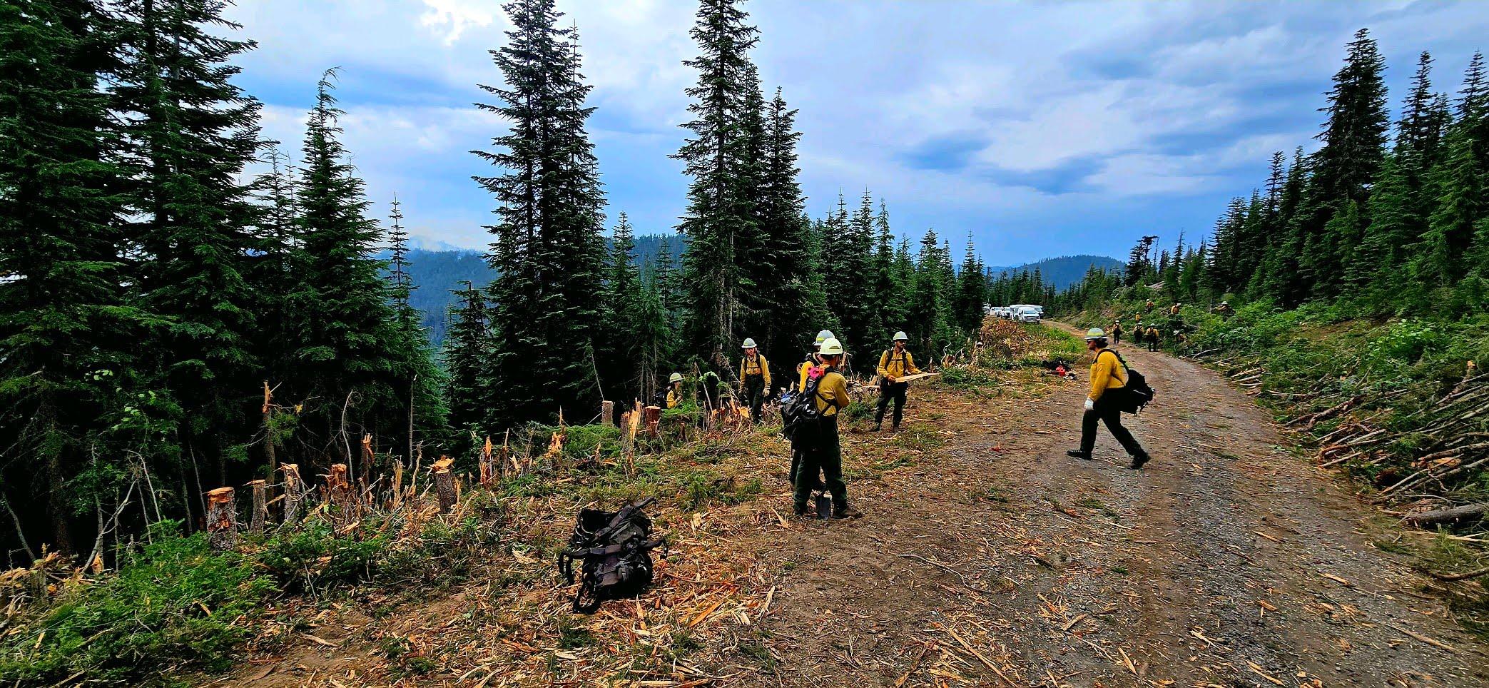 a hand crew cut small trees from side of road and stacks them to widen fireline aug 3