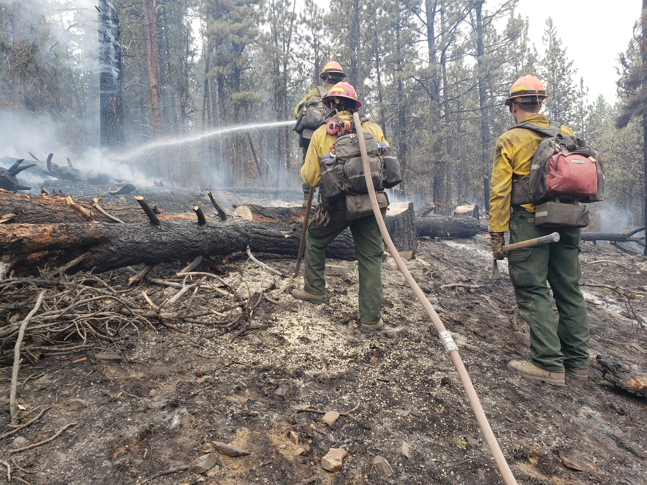 Mop up operations Telephone Fire near Buck Butte