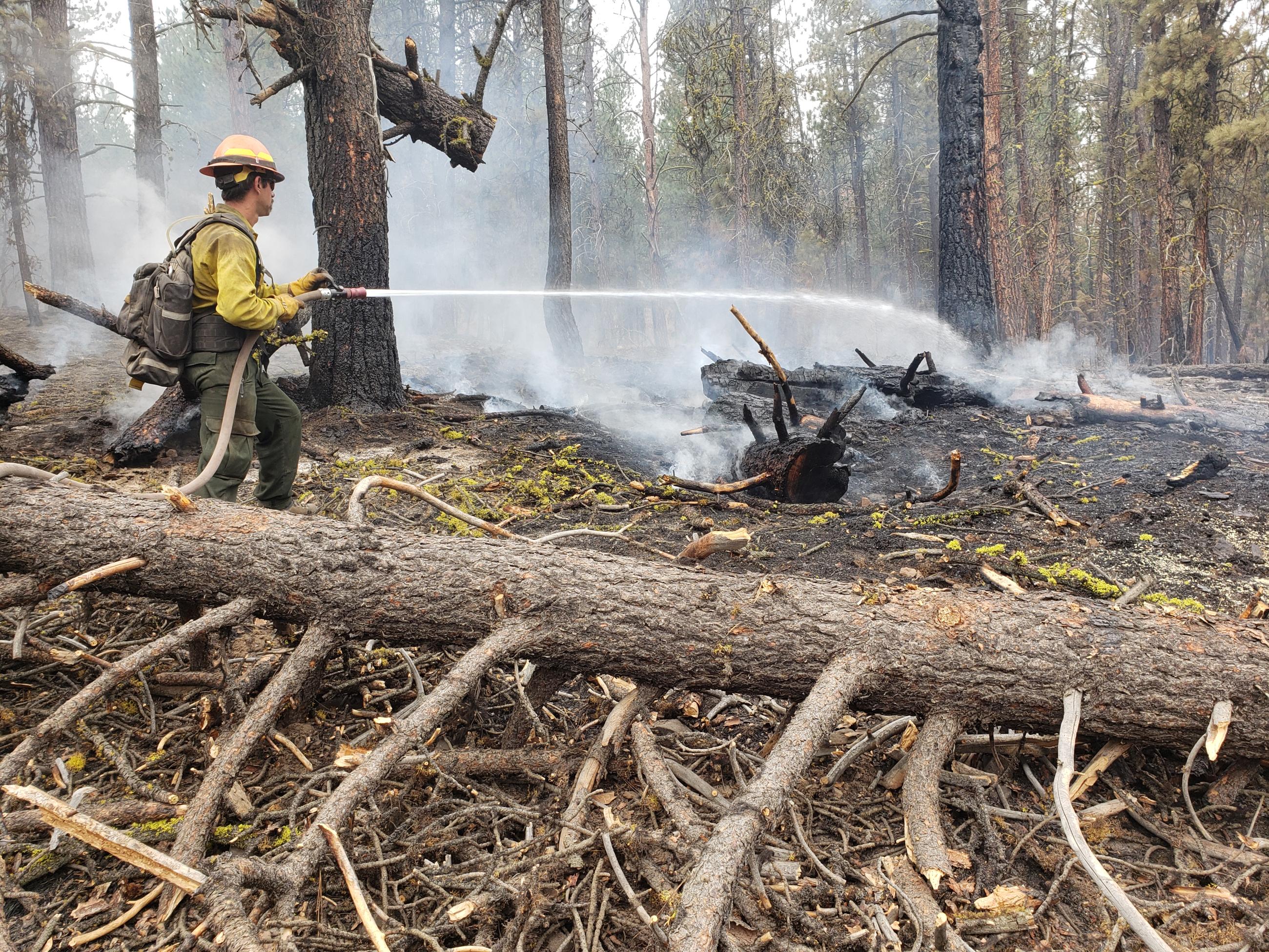Mop Up operations north side of the telephone Fire
