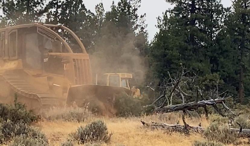 A dozer is moving logs and woody material around and out of a landing zone for a helicopeter. 