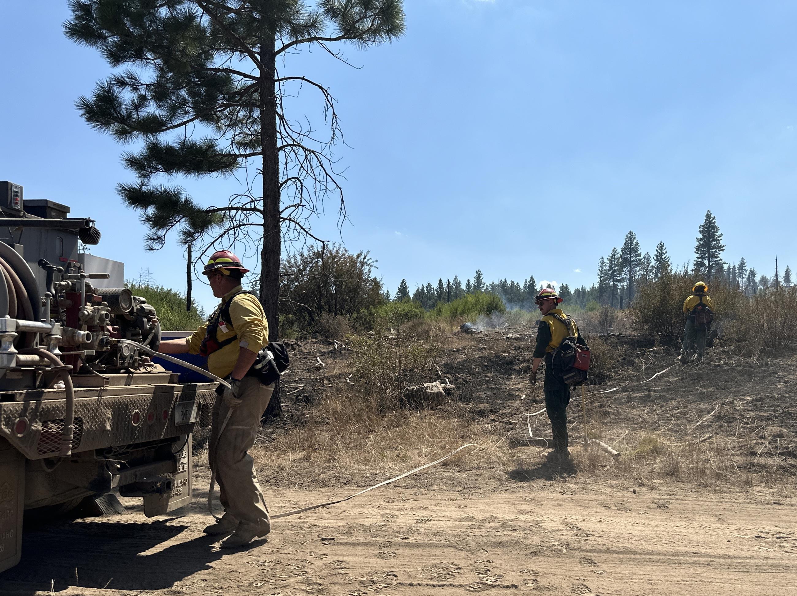 Firefighter in personal protective equipment stands at the back of a wildland fire engine with a hose attached that stretches out toward two other firefighters heading into dry brushy area