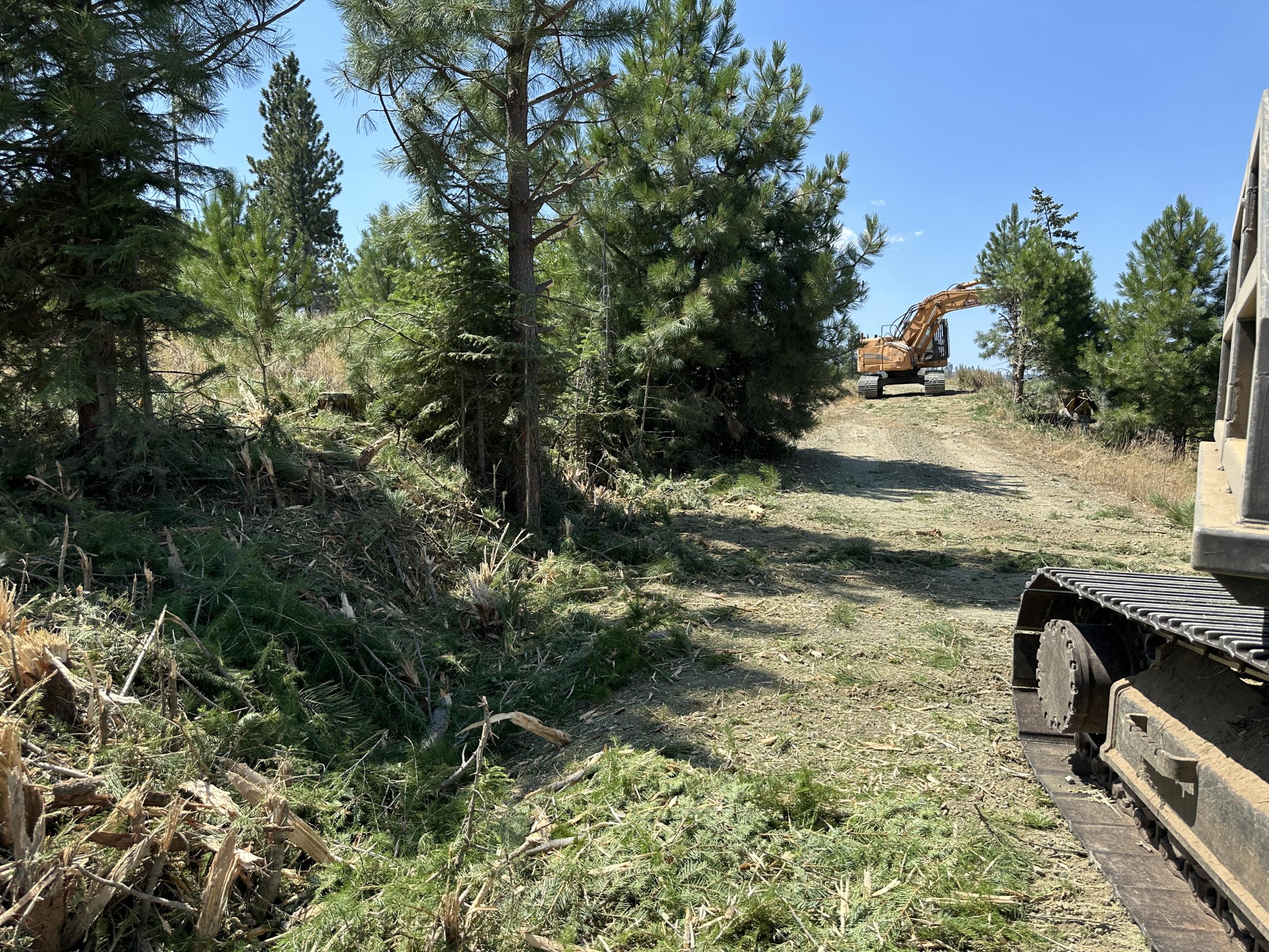 Shallow ditch with chopped vegetation at the side of a dirt road next to continuous track treads of a machine with another masticator at work in the distance 