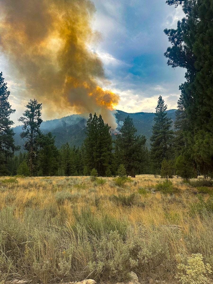 midslope fire burning in forest