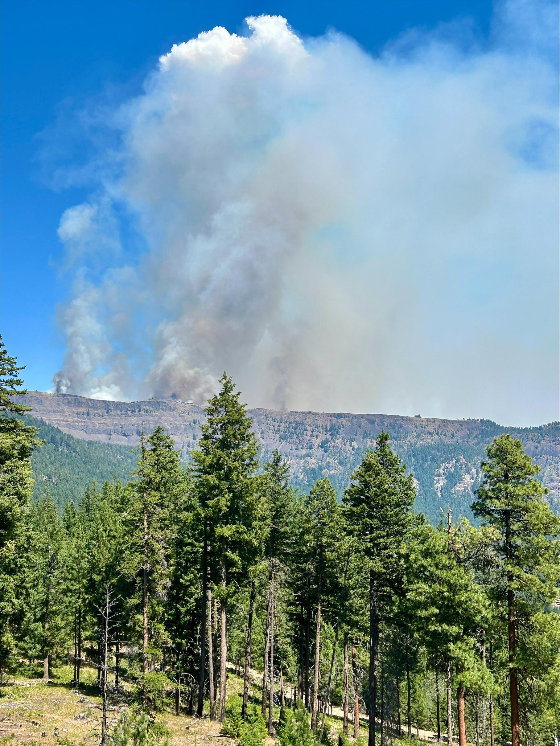 Smoke column