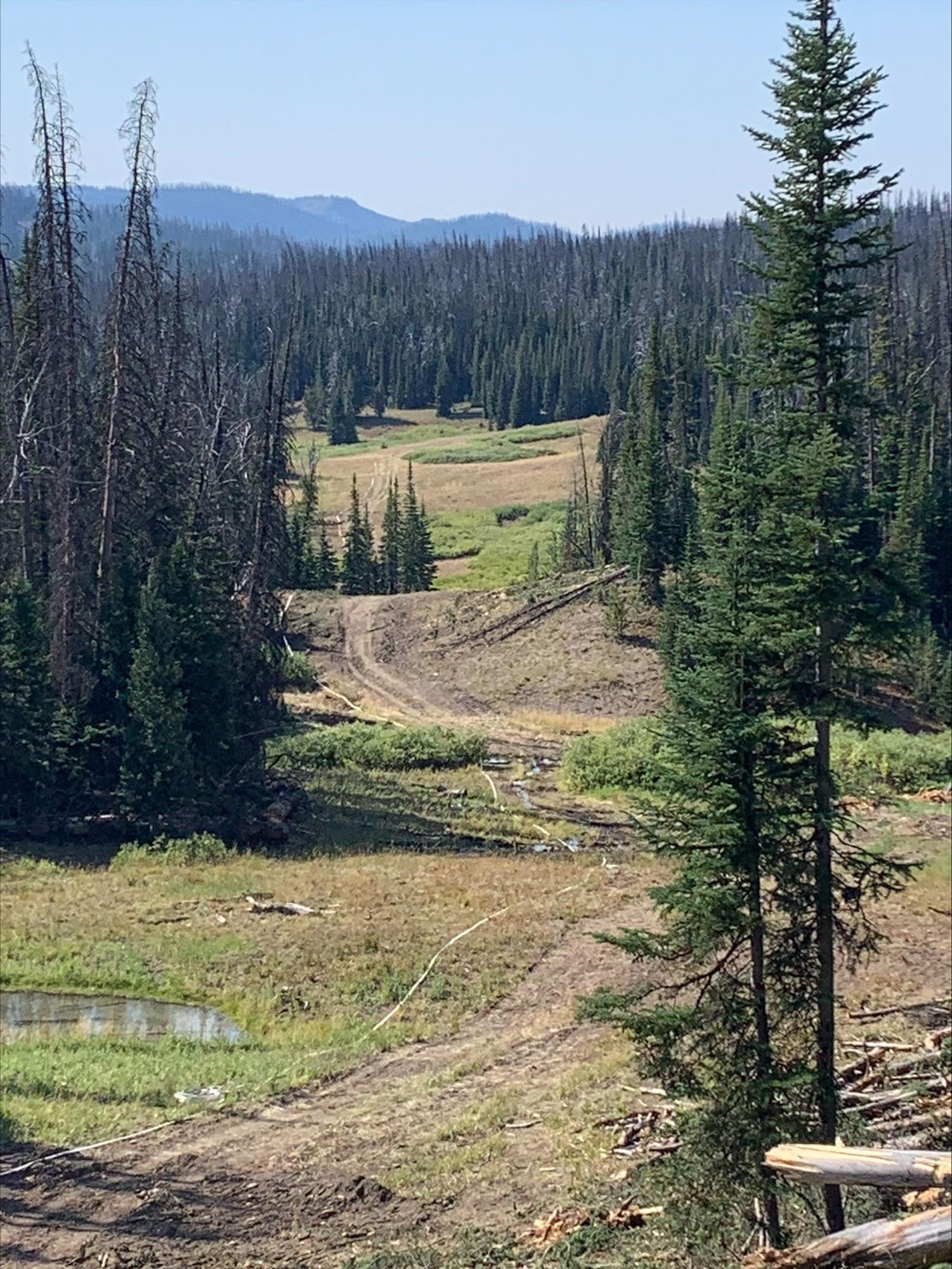 Fire line created on eastern flank of fire