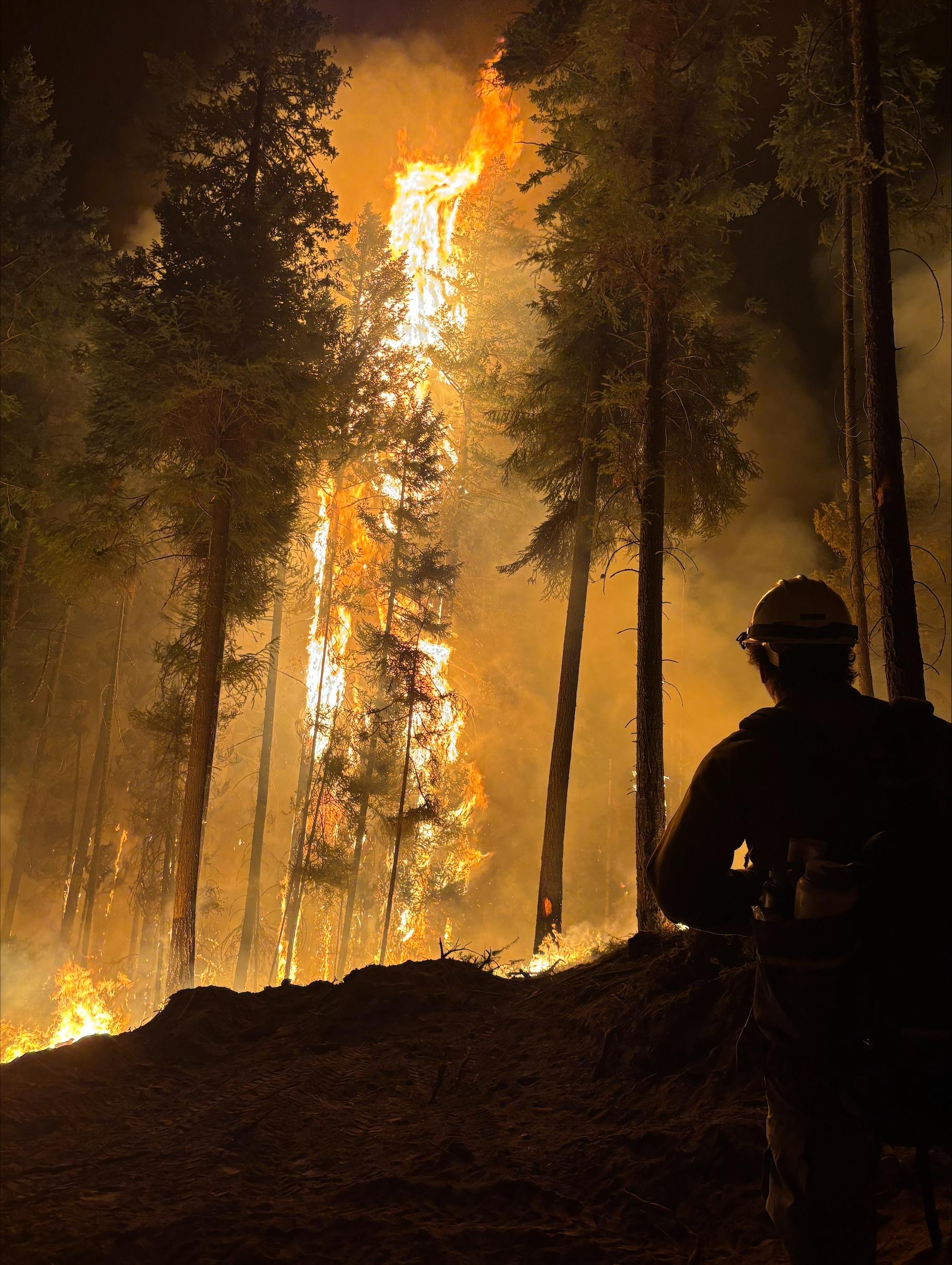 Firefighter standing near fire at night 