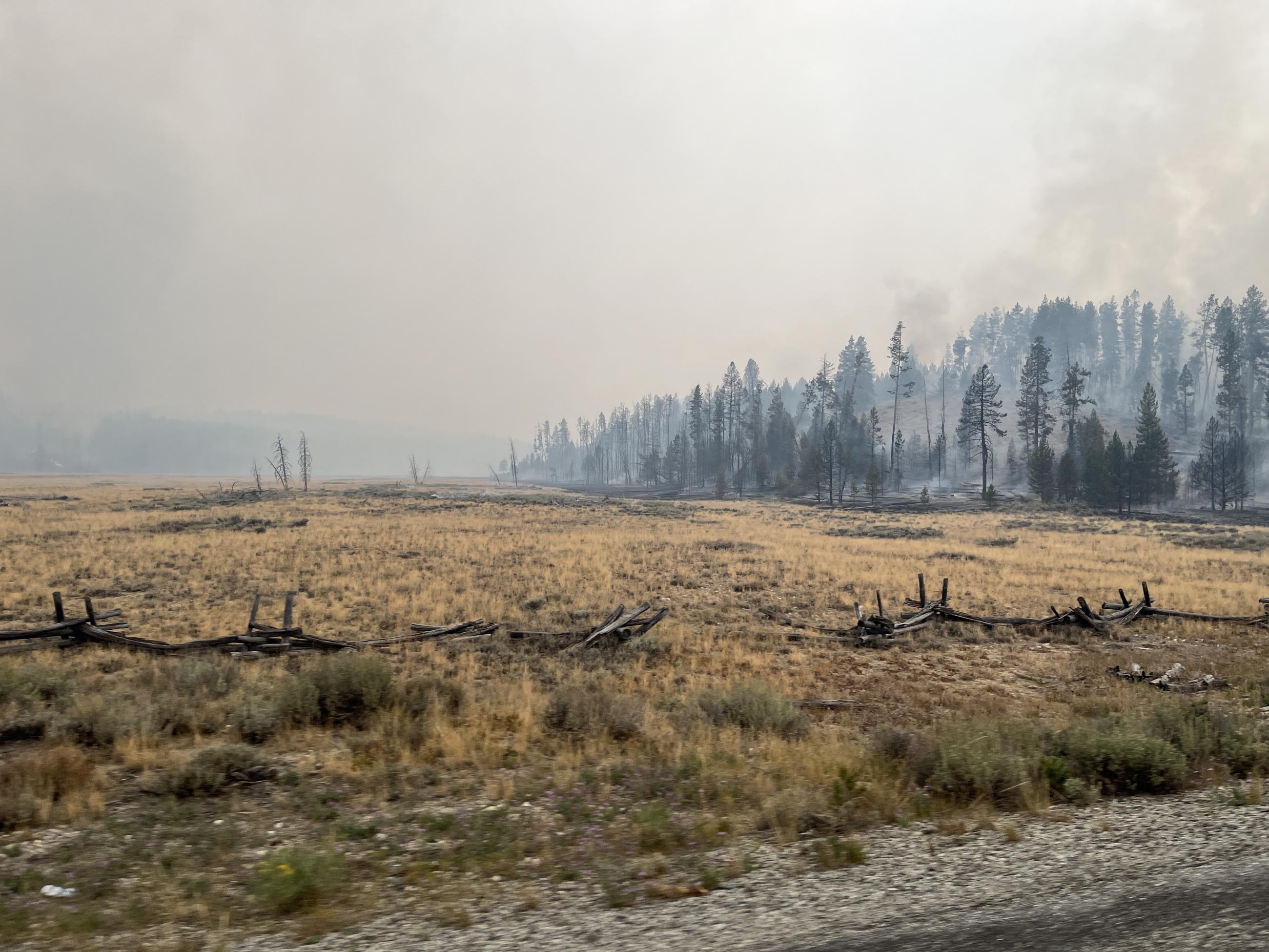 Smoldering forest and smoky sky with unburned field in foreground, Aug 24