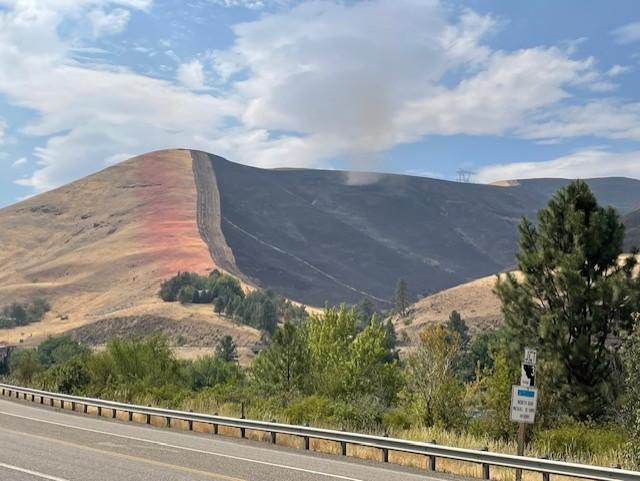 Image of a hillside on the Gwen Fire; retardant and a dozer line have stopped the fire's progression