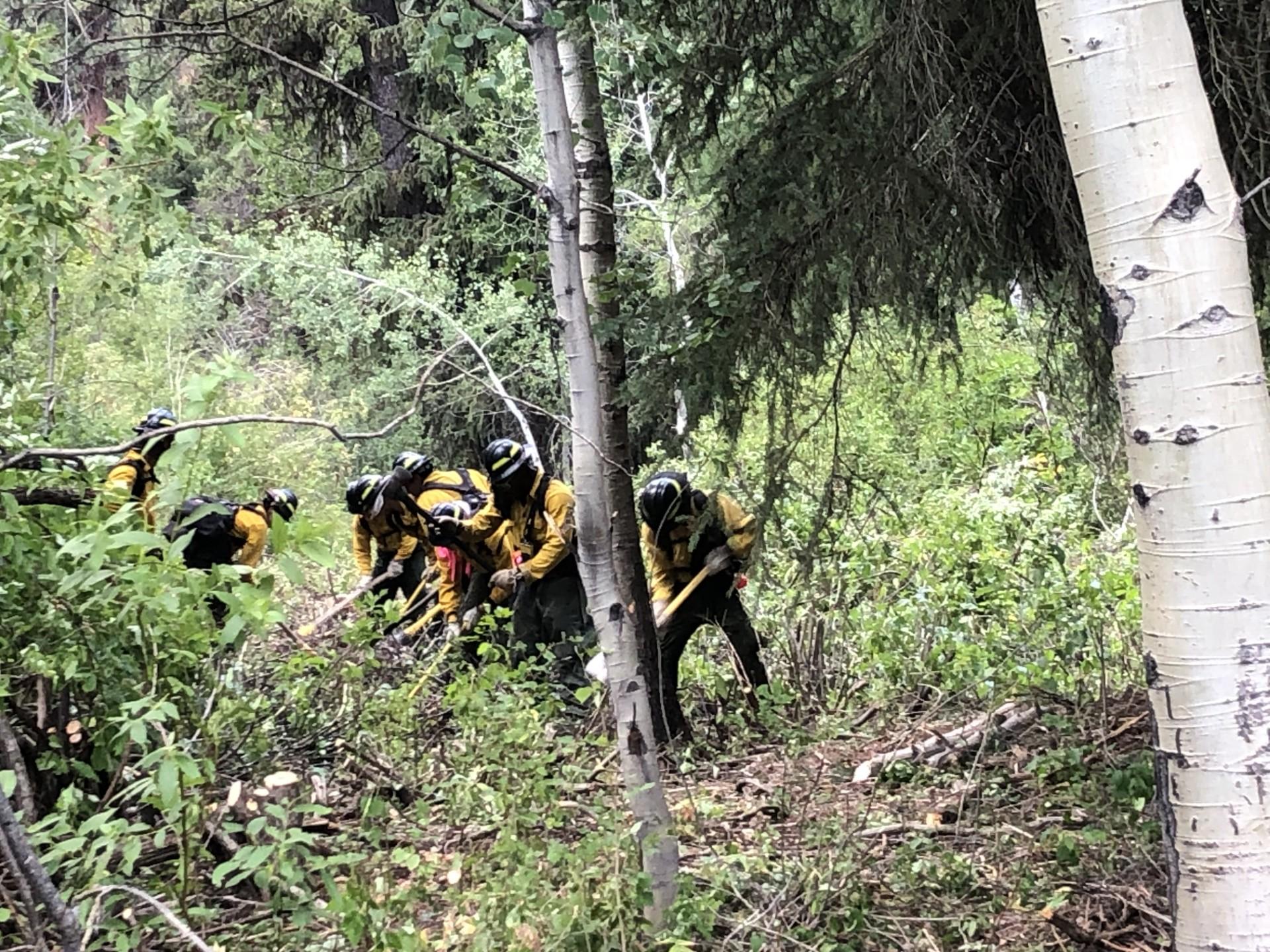 Crew digging line